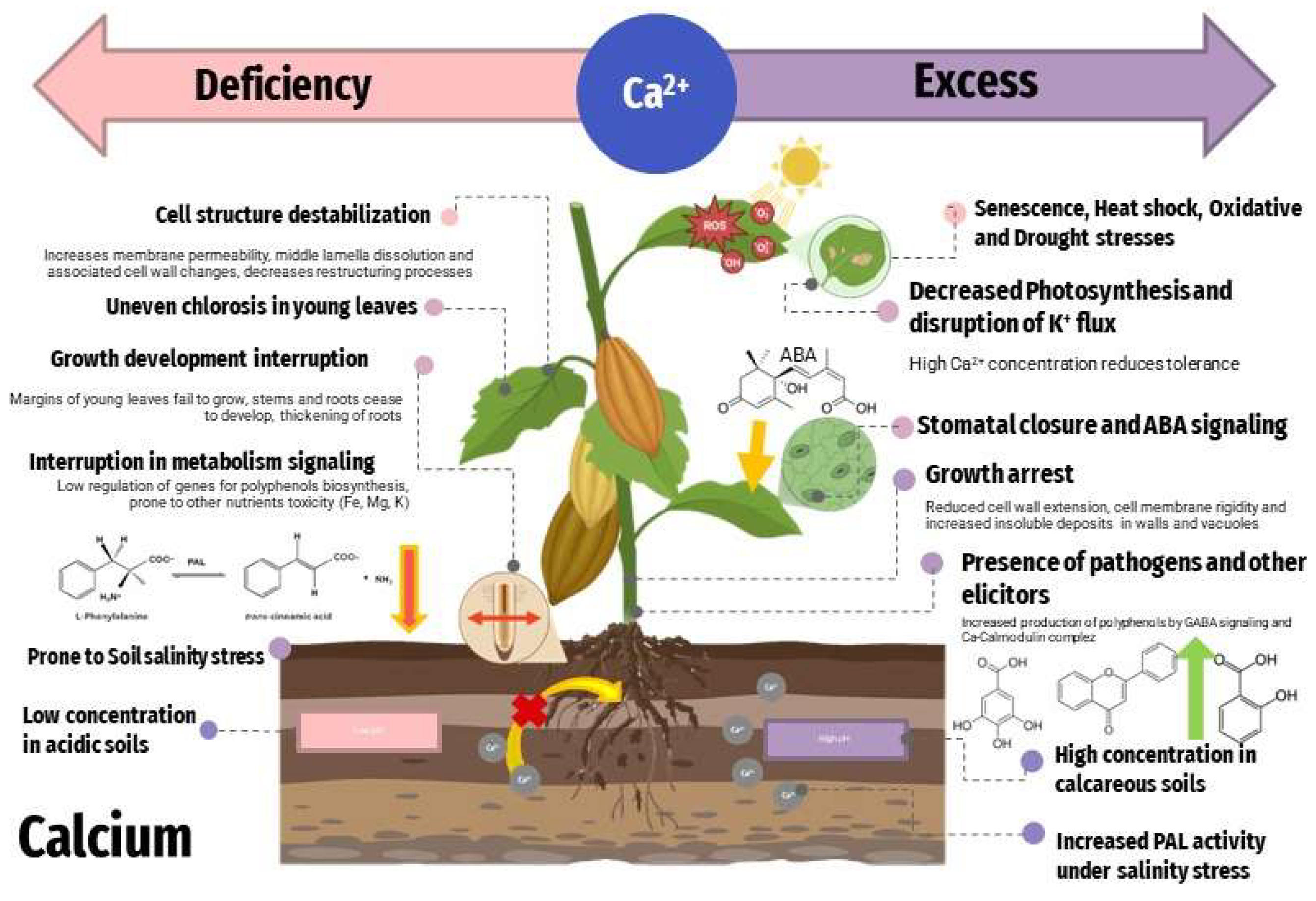 Toxics 11 00123 g009 Toxics 11 00123 g009