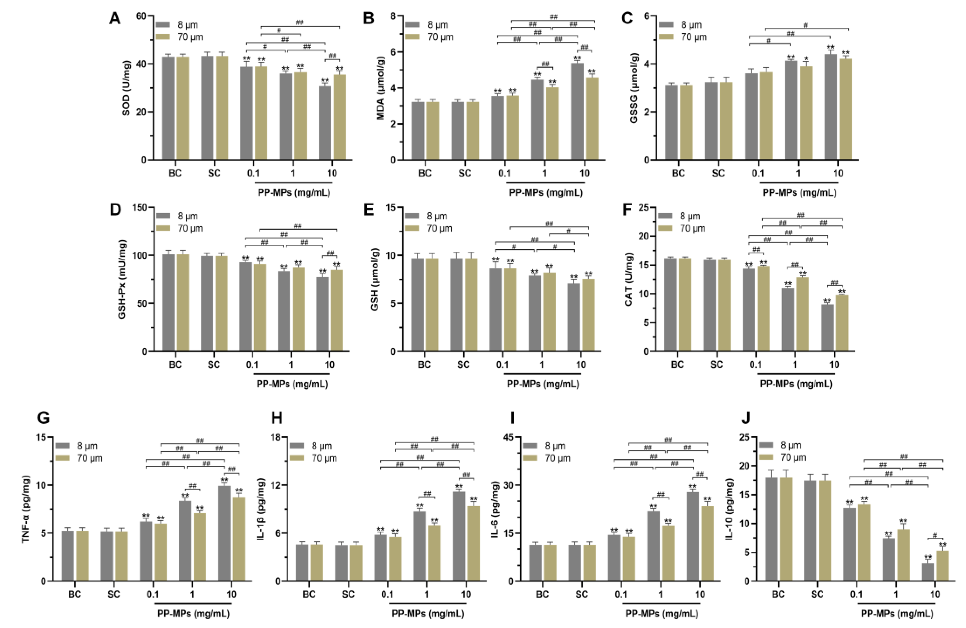 Toxics | Free Full-Text | Exposure to Polypropylene Microplastics 