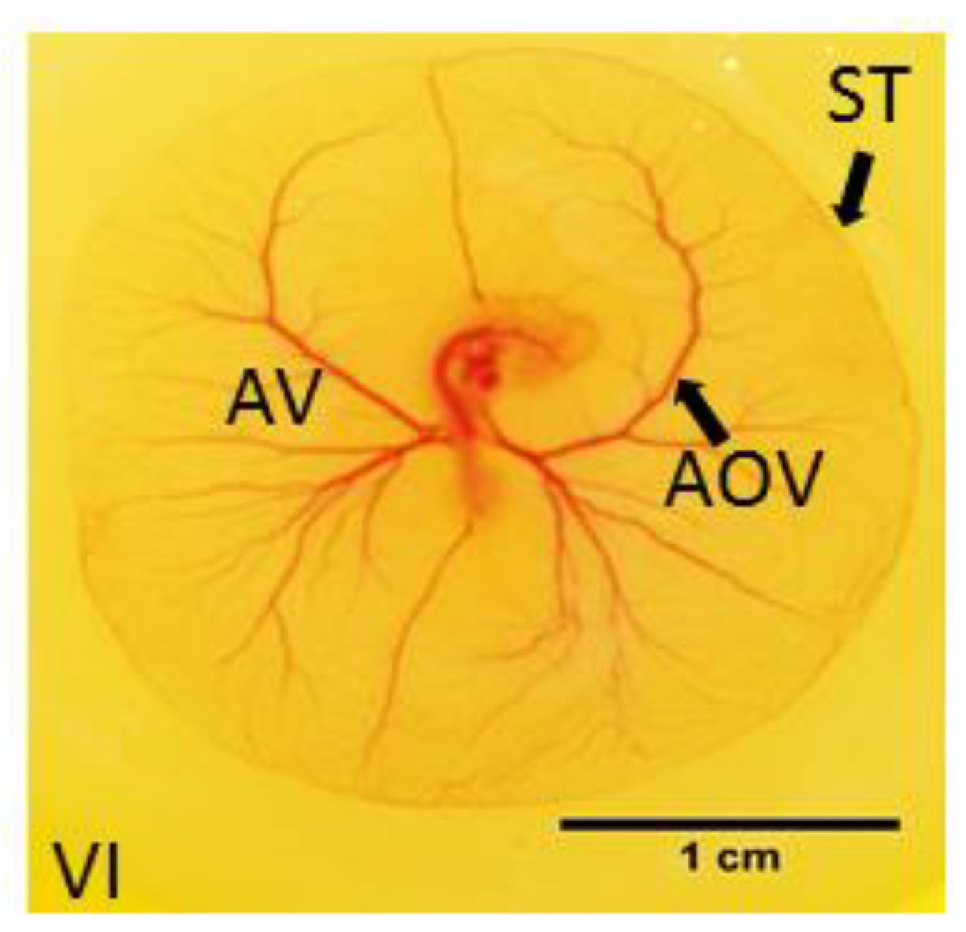 Toxics 11 00134 g001