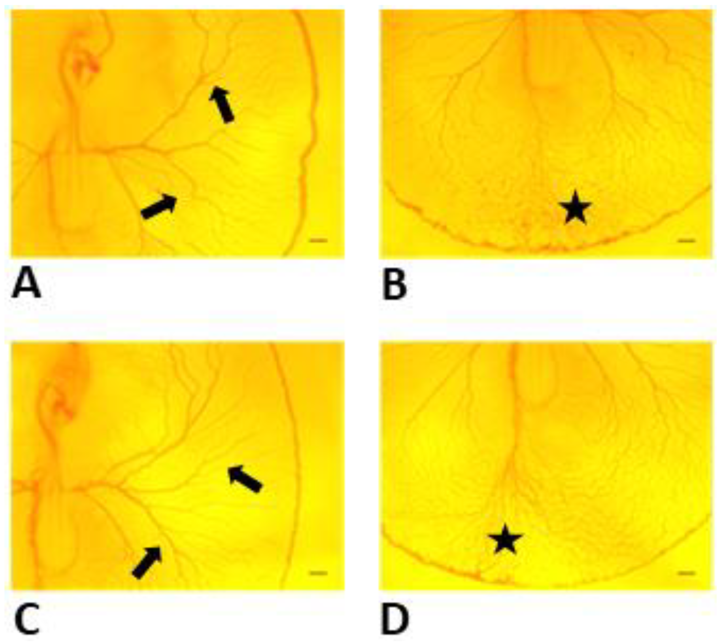 Toxics 11 00134 g002
