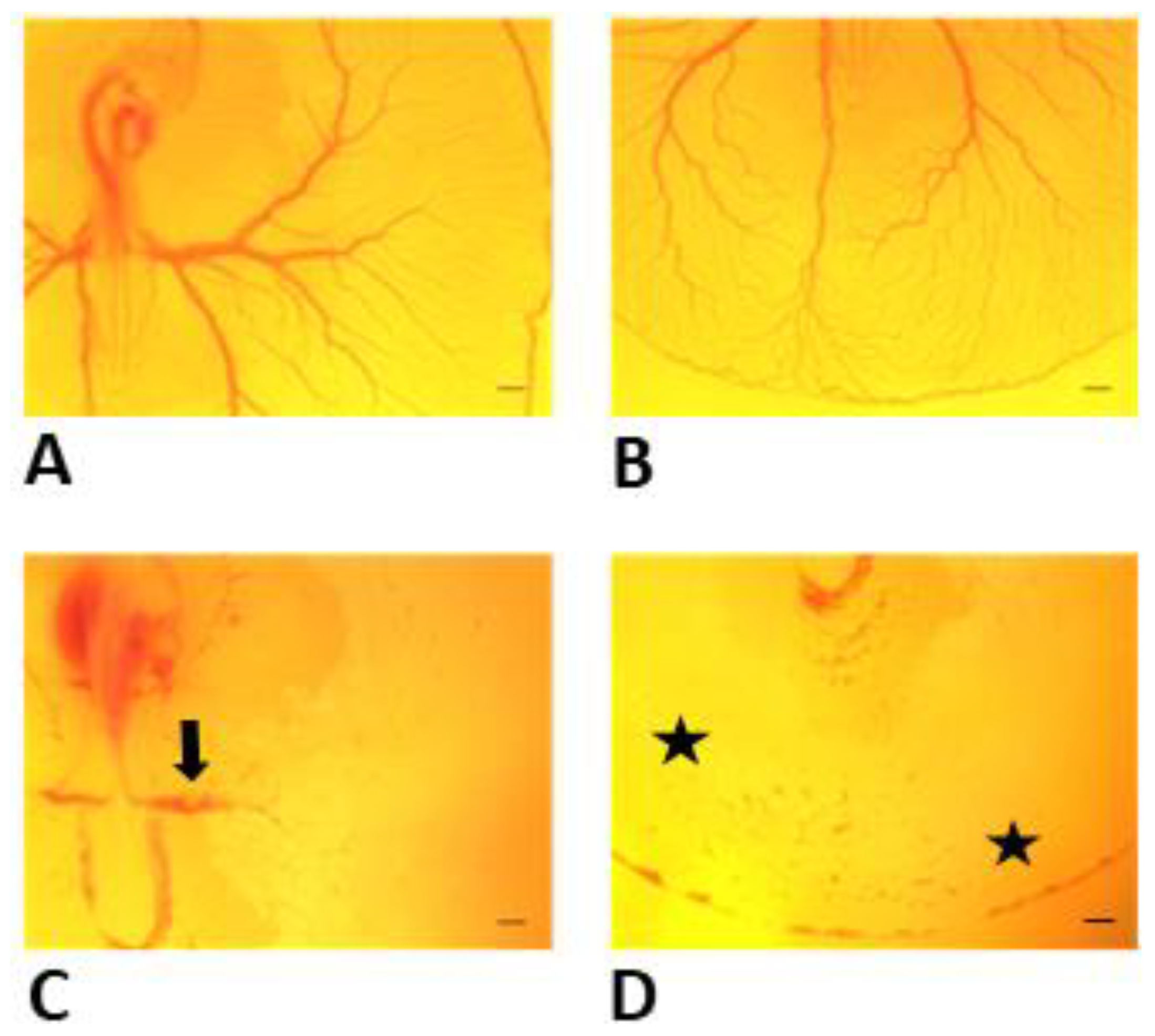Toxics 11 00134 g003