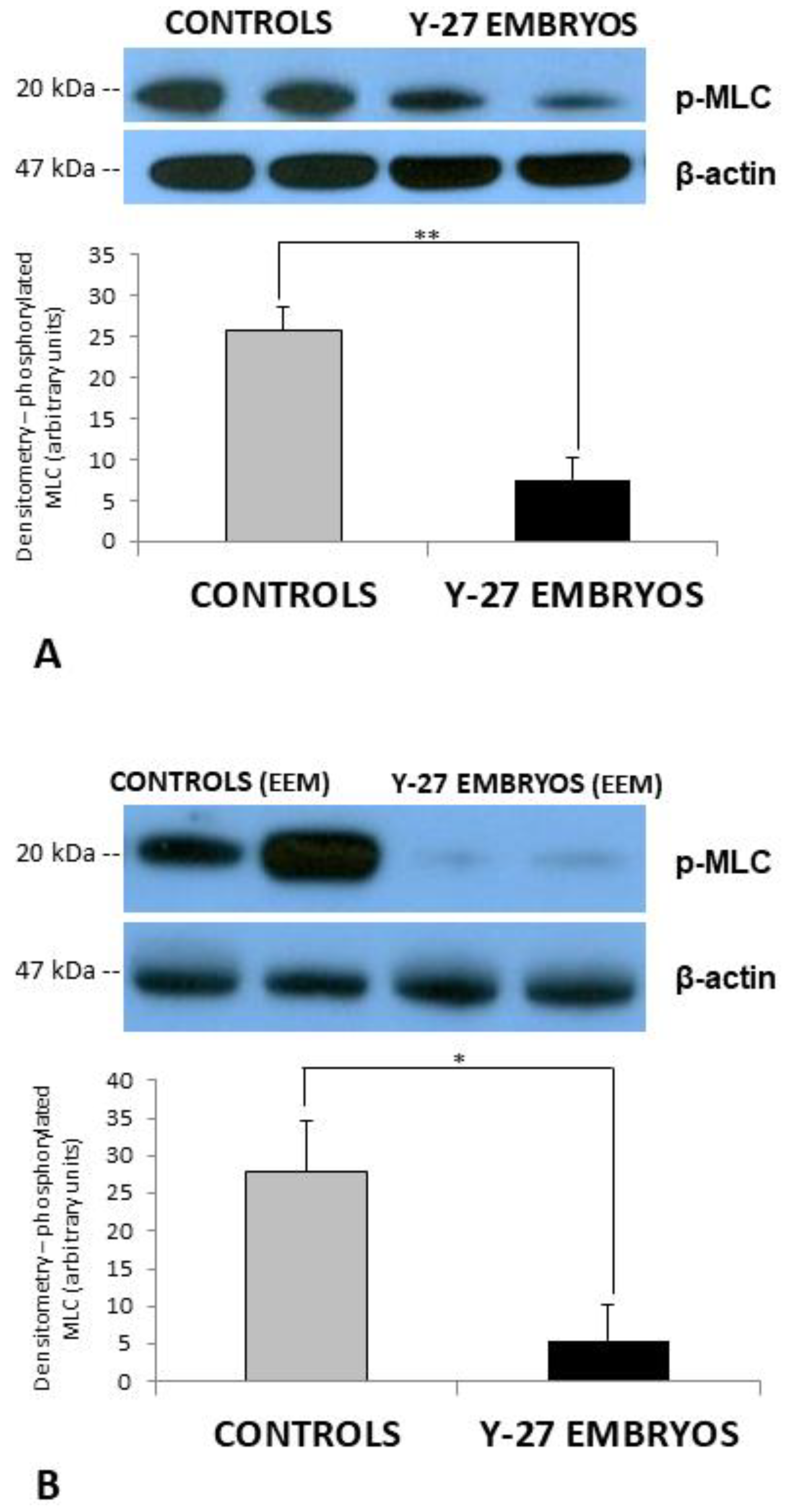 Toxics 11 00134 g007