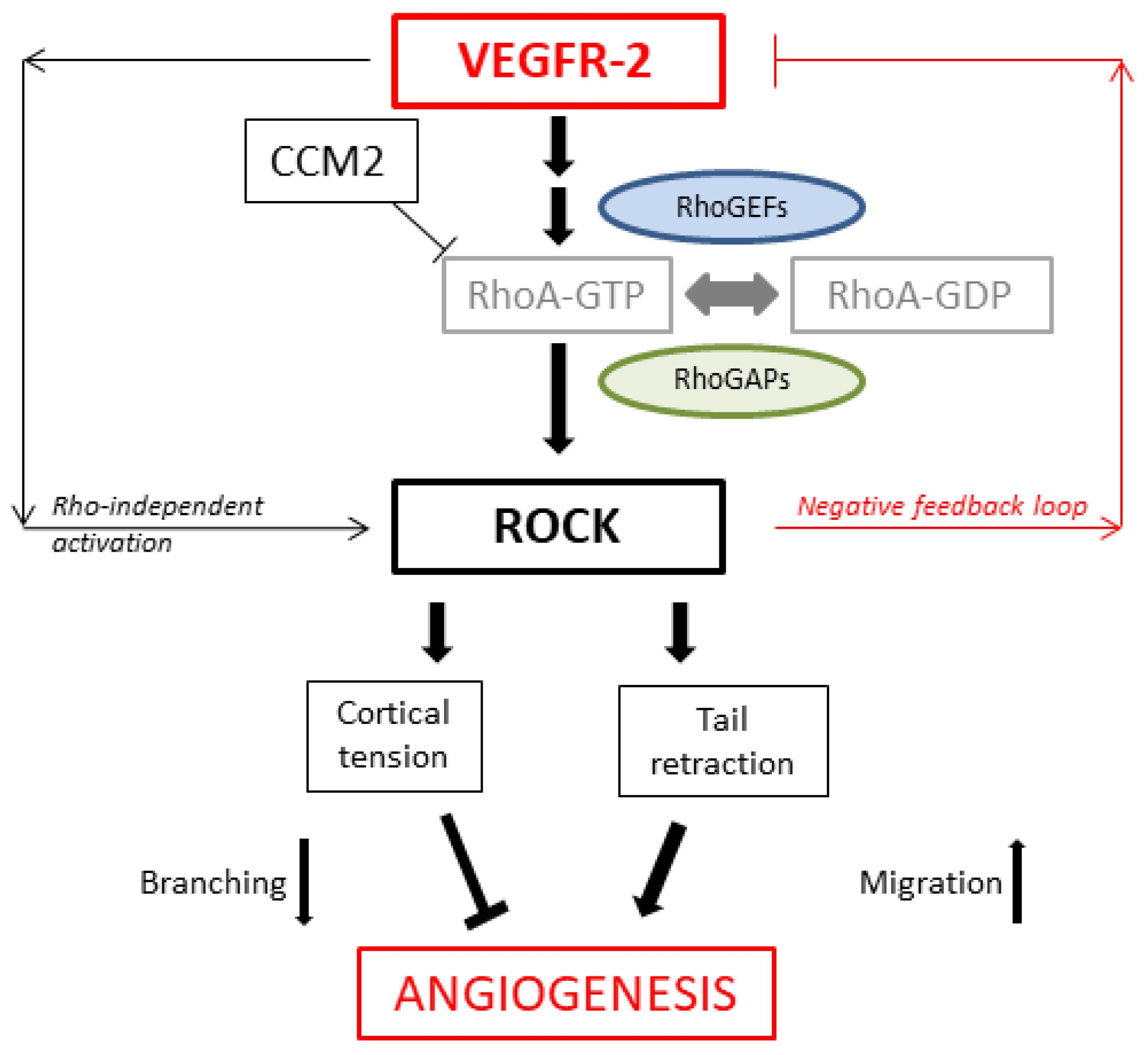 Toxics 11 00134 g012