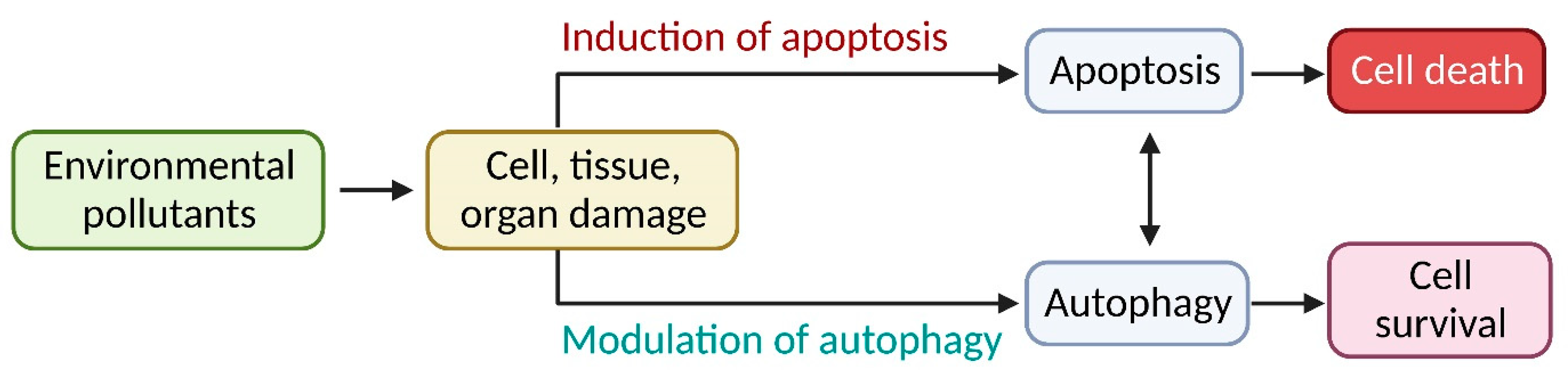 Toxics 11 00135 g002