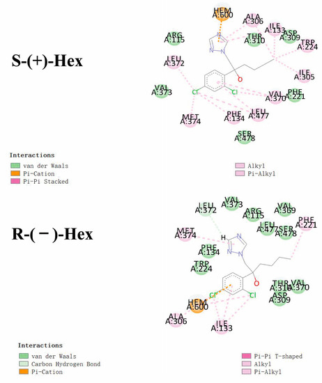 Stereoselective Toxicokinetic and Distribution Study on the