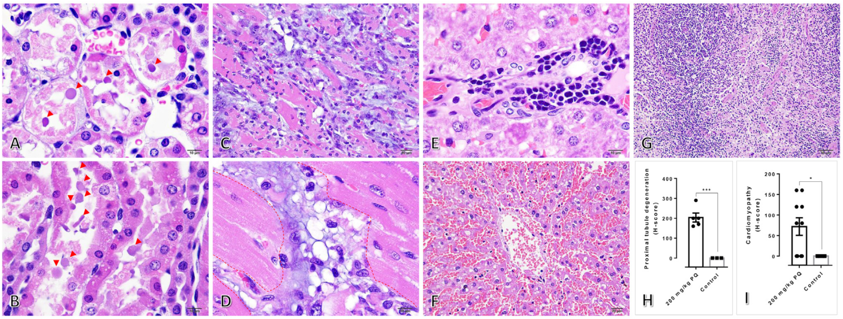 Toxics 11 00146 g001