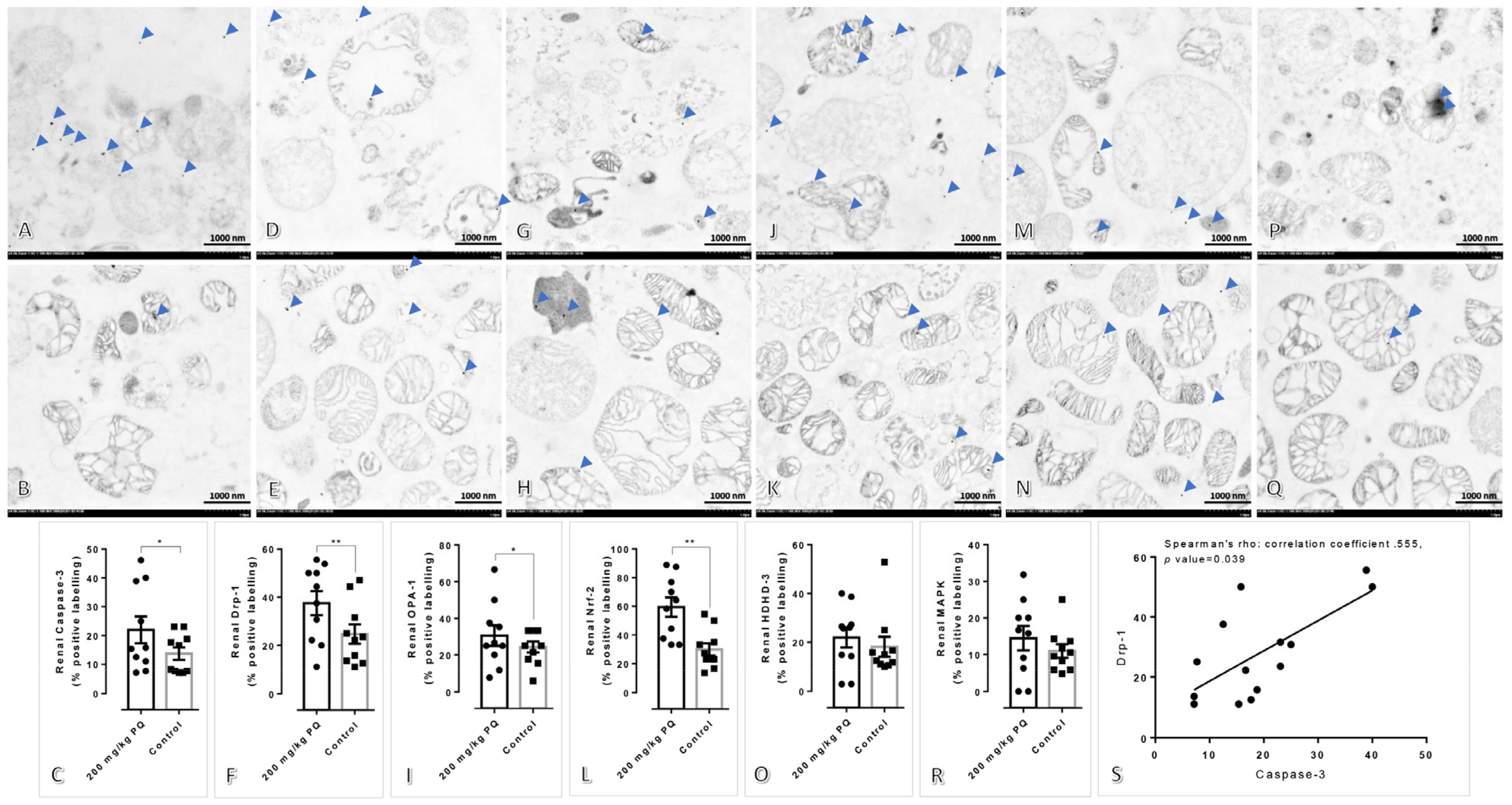 Toxics 11 00146 g003