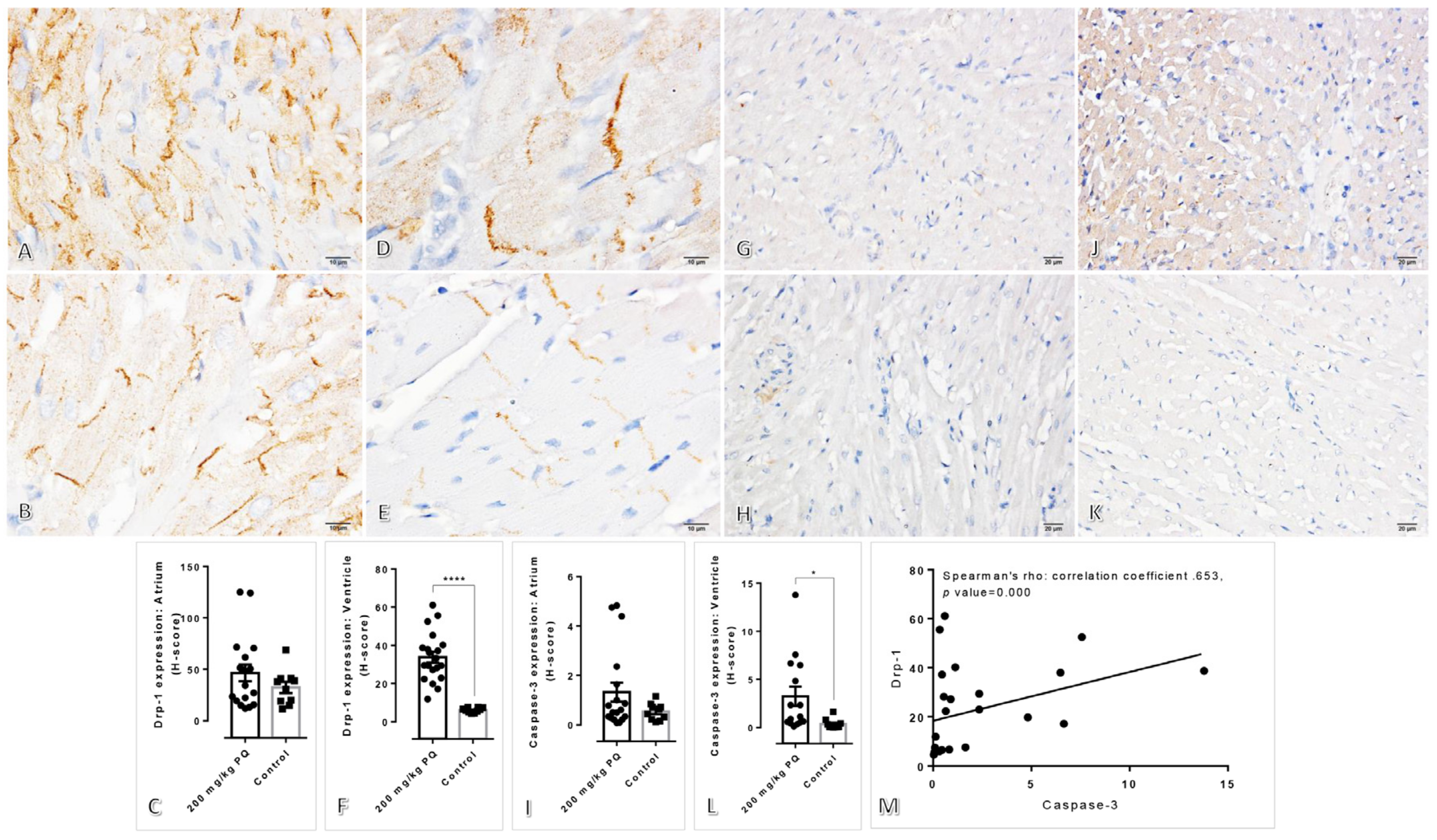 Toxics 11 00146 g005