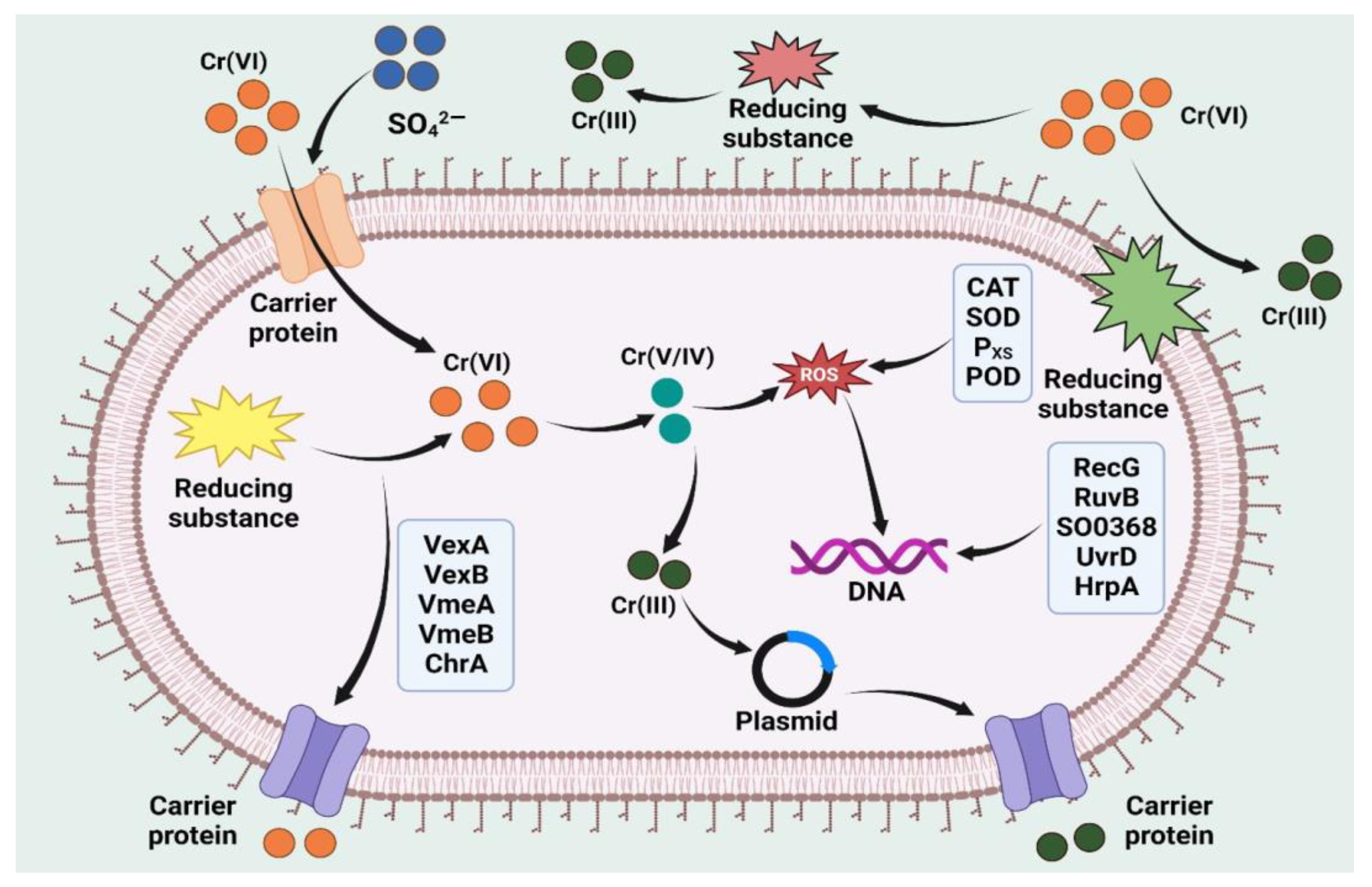 Toxics 11 00147 g002 Toxics 11 00147 g002