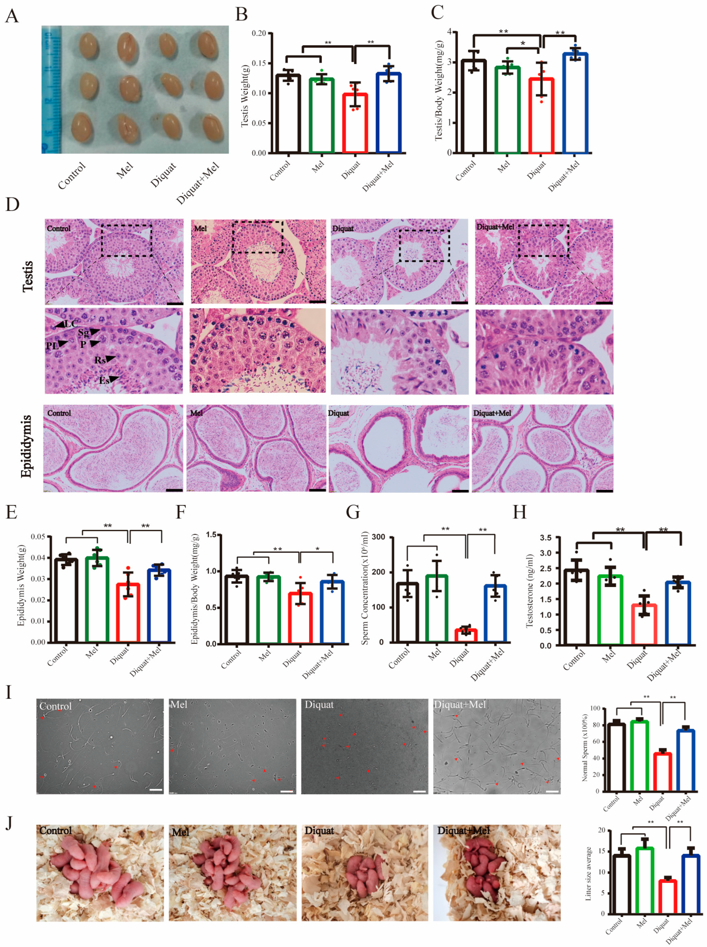 Toxics 11 00160 g001 550