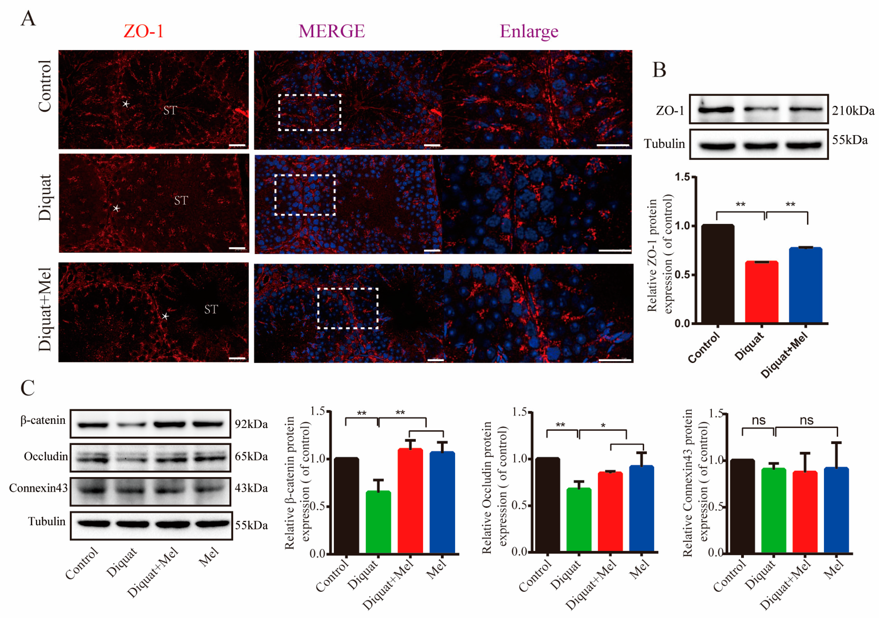 Toxics 11 00160 g004 550