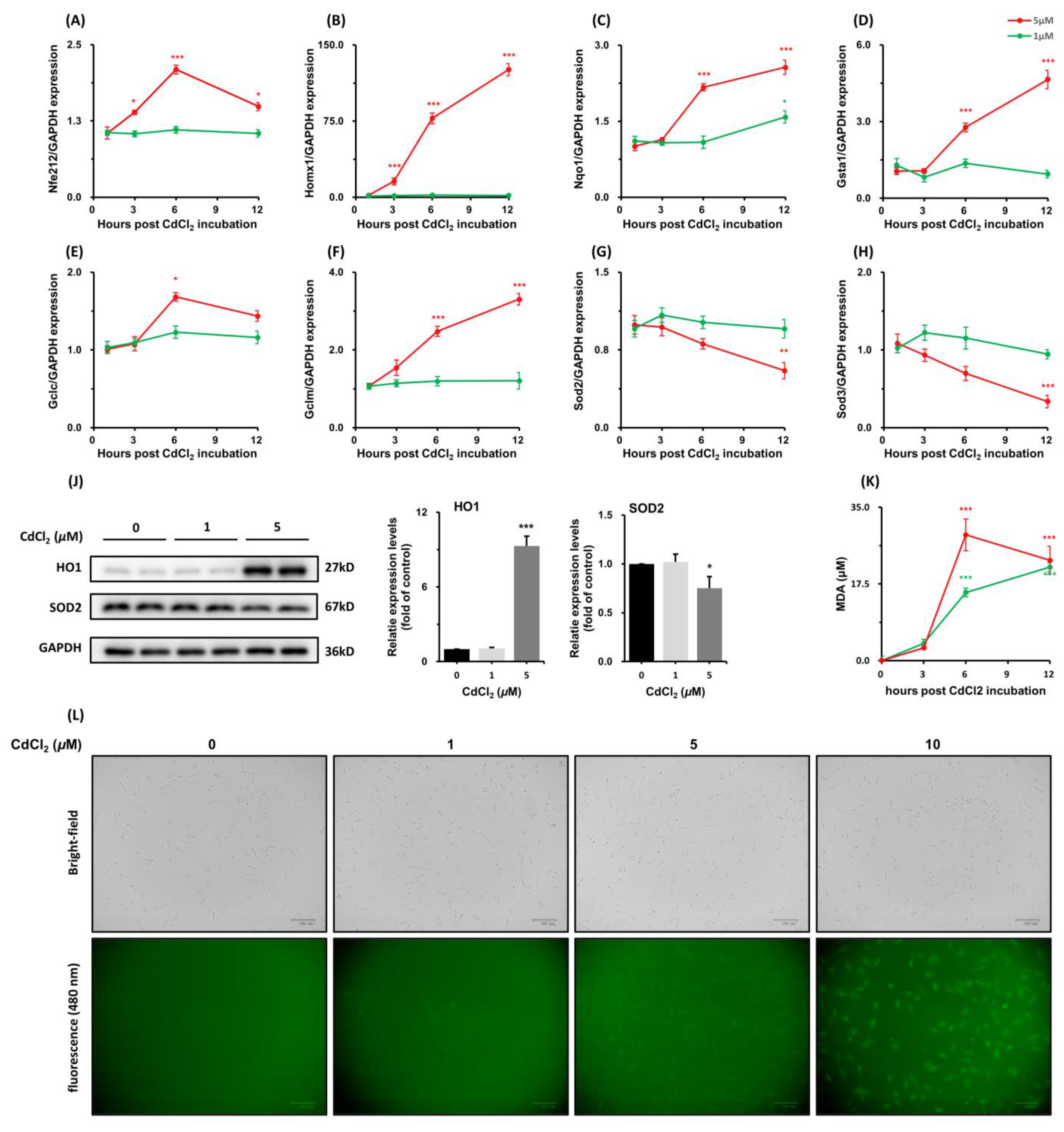 Toxics 11 00167 g004