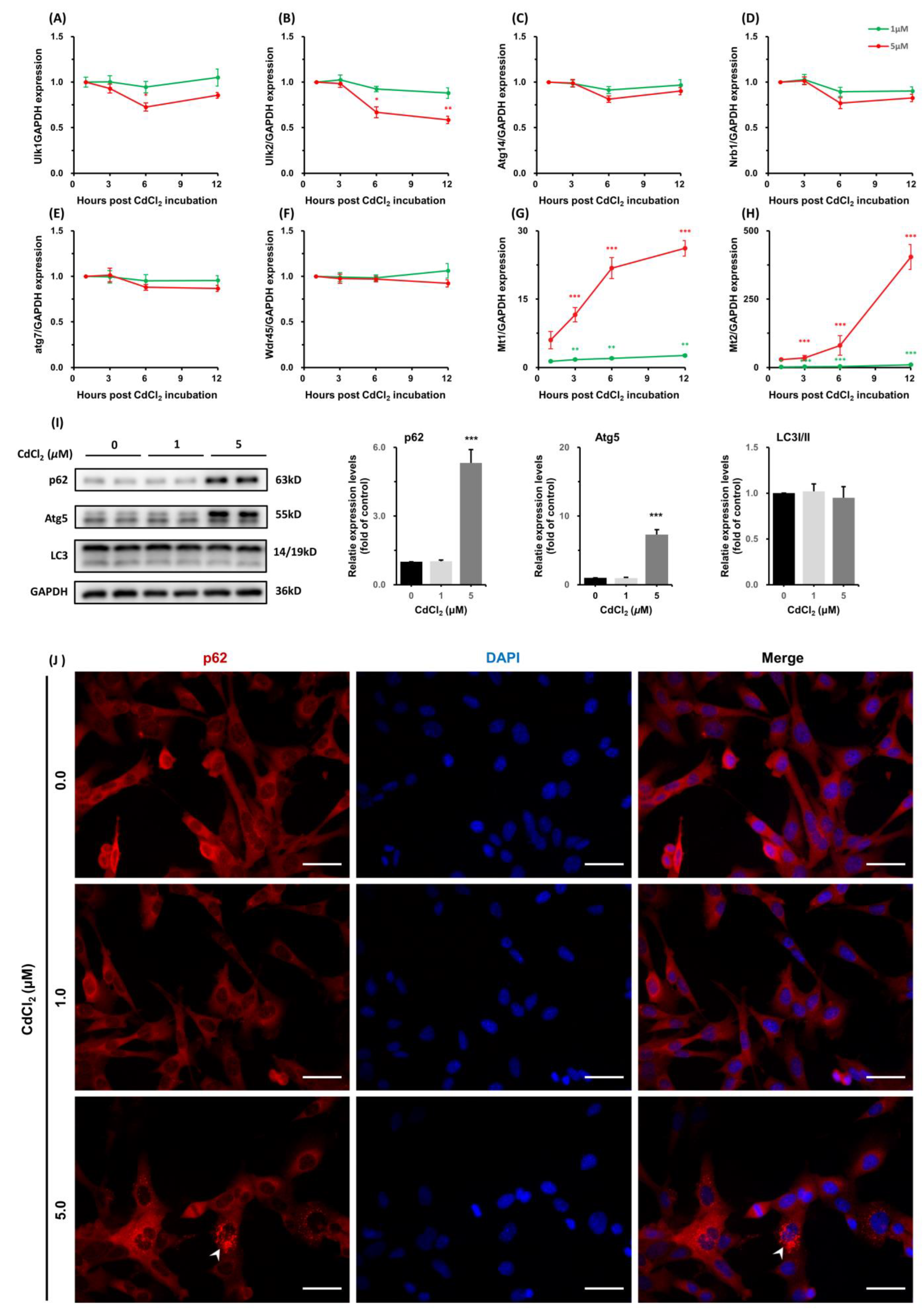 Toxics 11 00167 g005