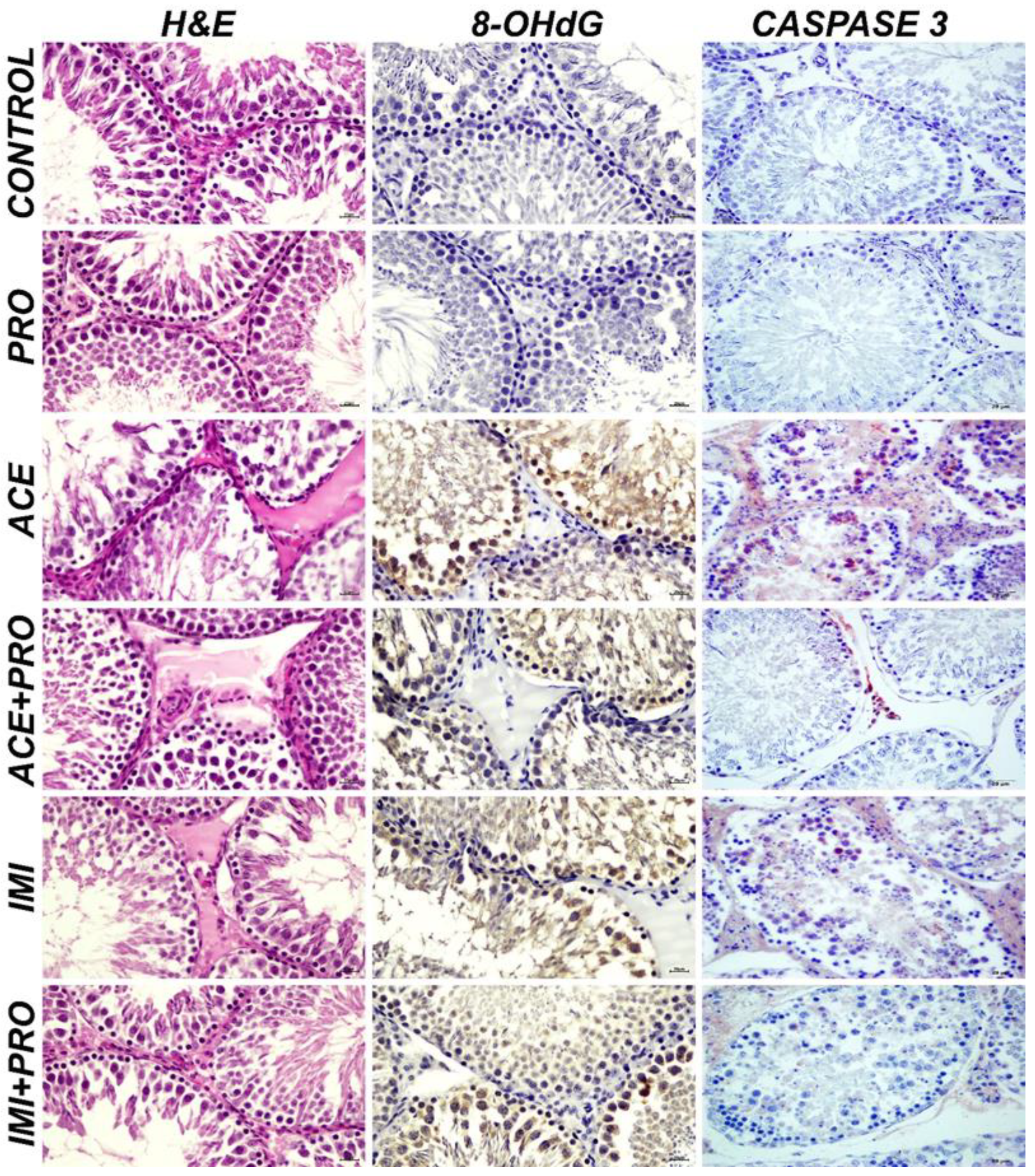 Toxics 11 00170 g001 Toxics 11 00170 g001
