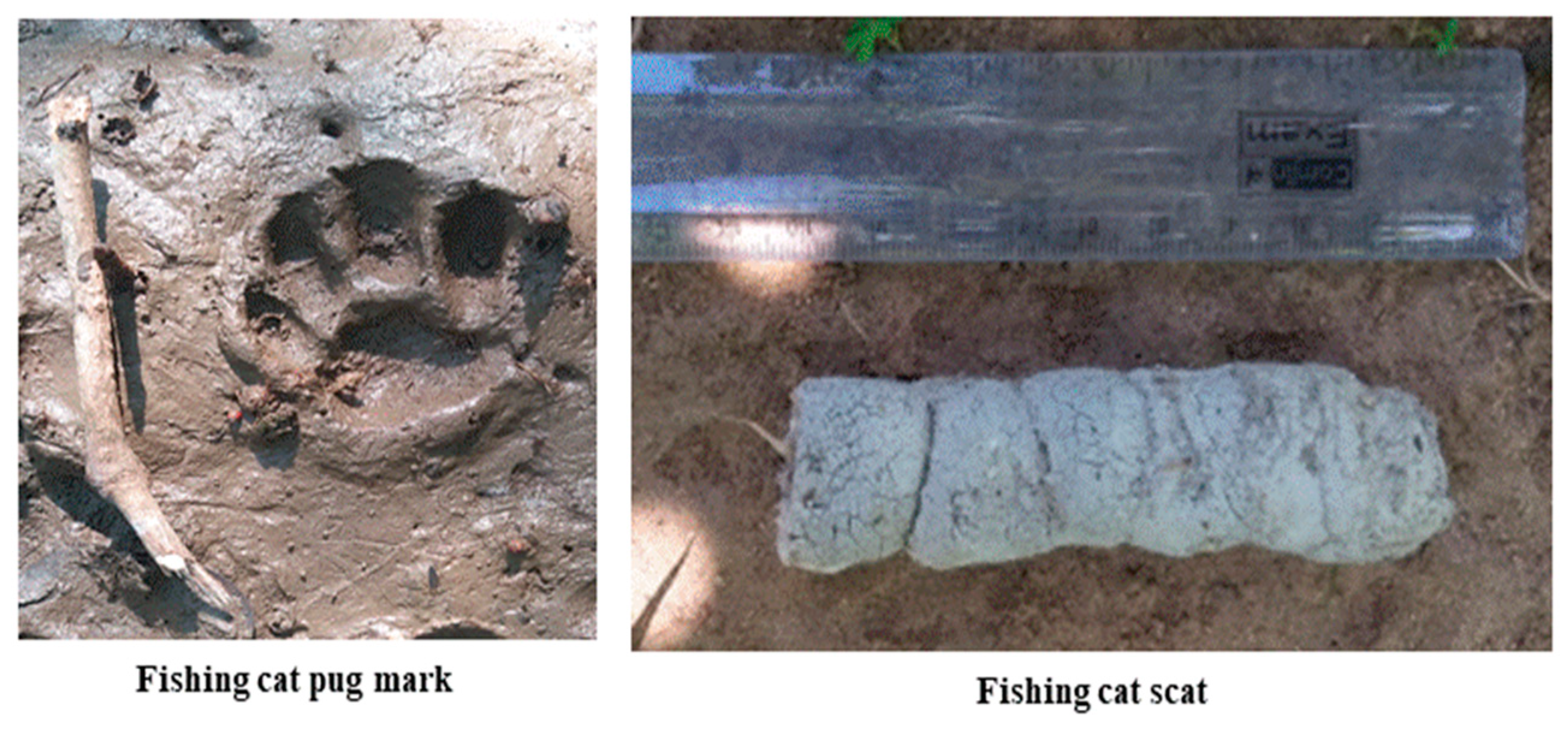 Toxics 11 00173 g002 Toxics 11 00173 g002