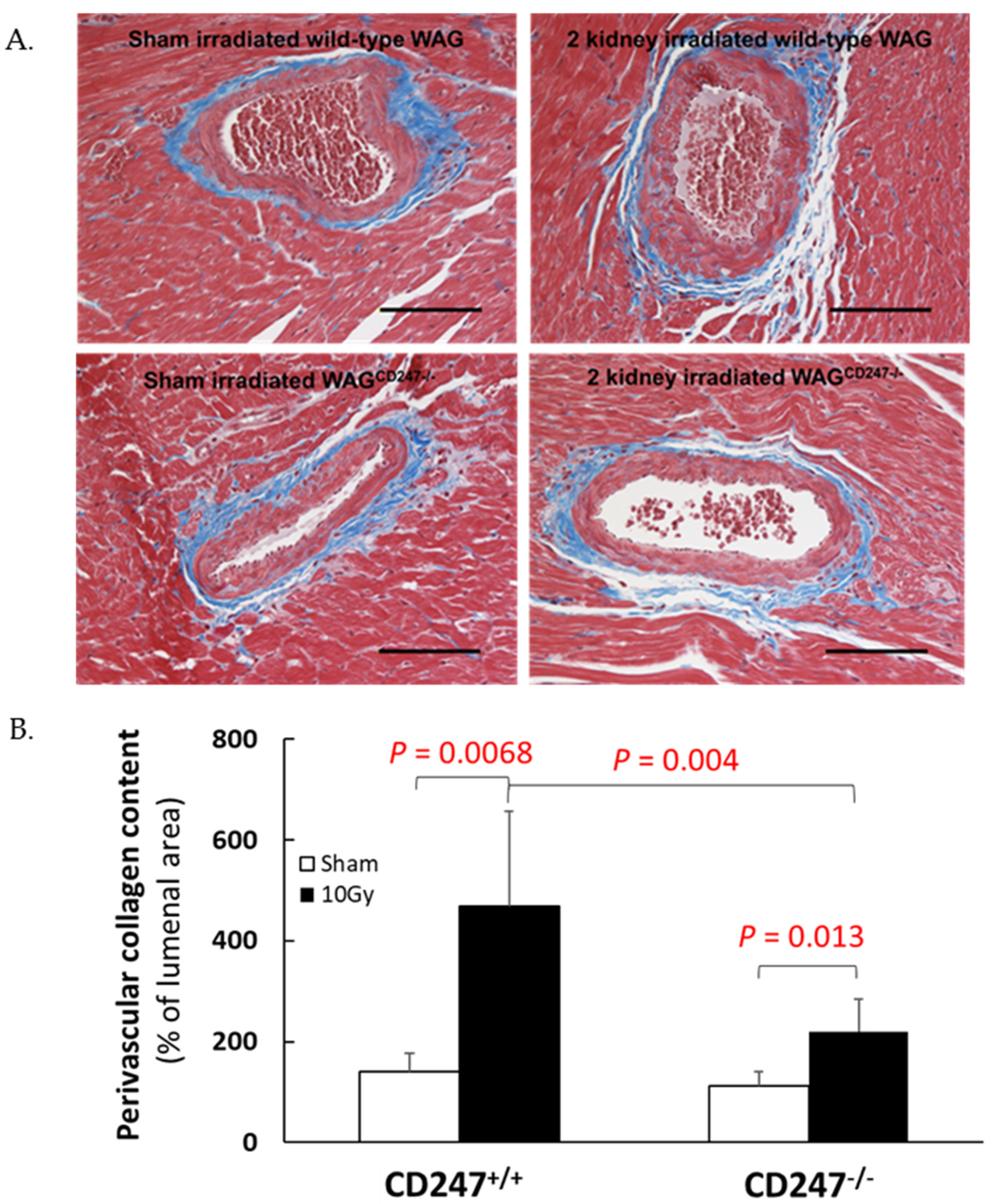 Toxics 11 00183 g001 550