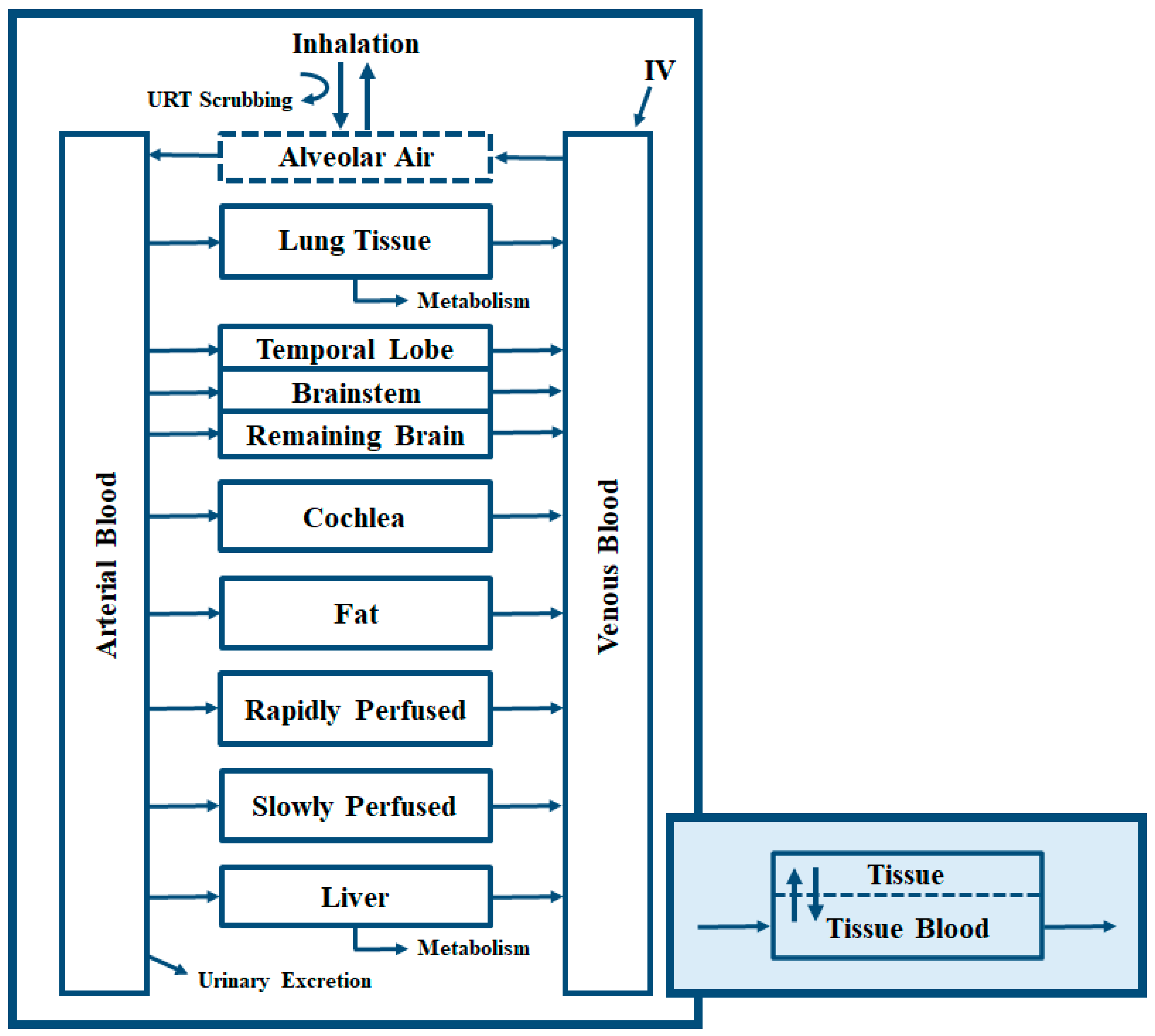 Toxics 11 00187 g002 Toxics 11 00187 g002