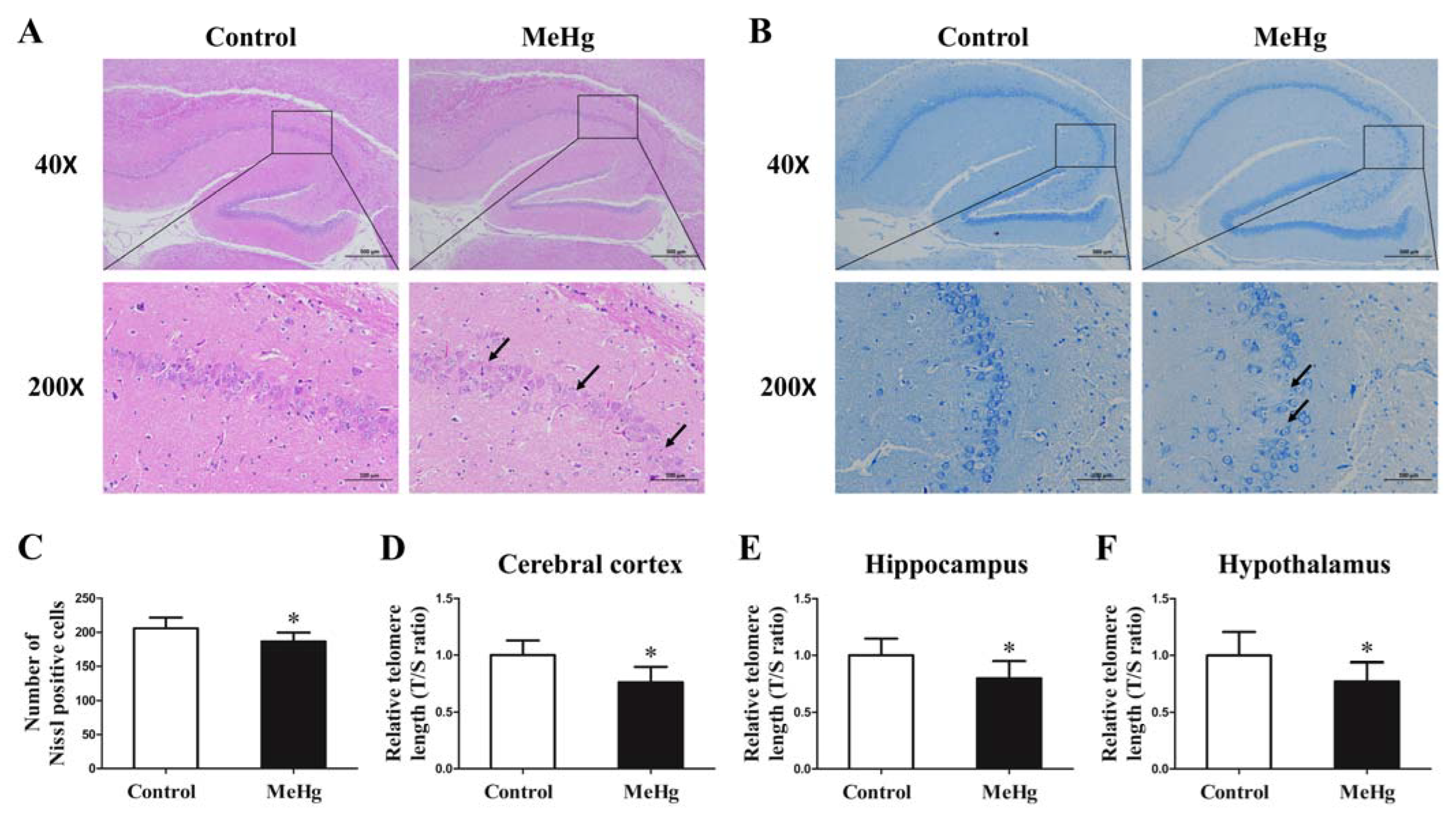 Toxics 11 00191 g003