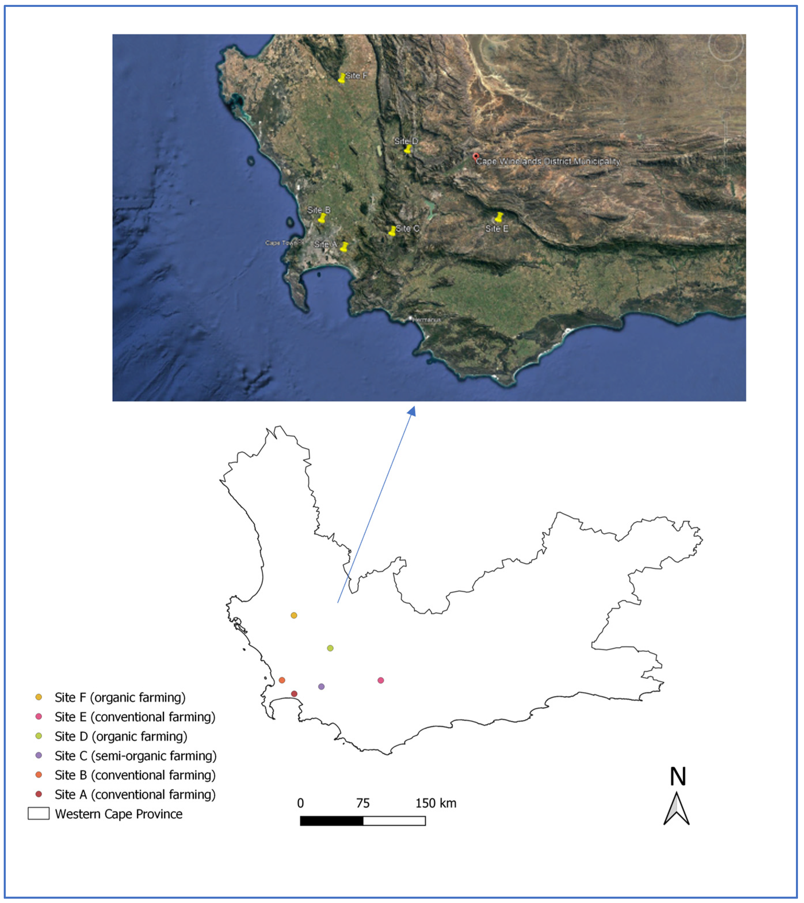 Toxics 11 00193 g001