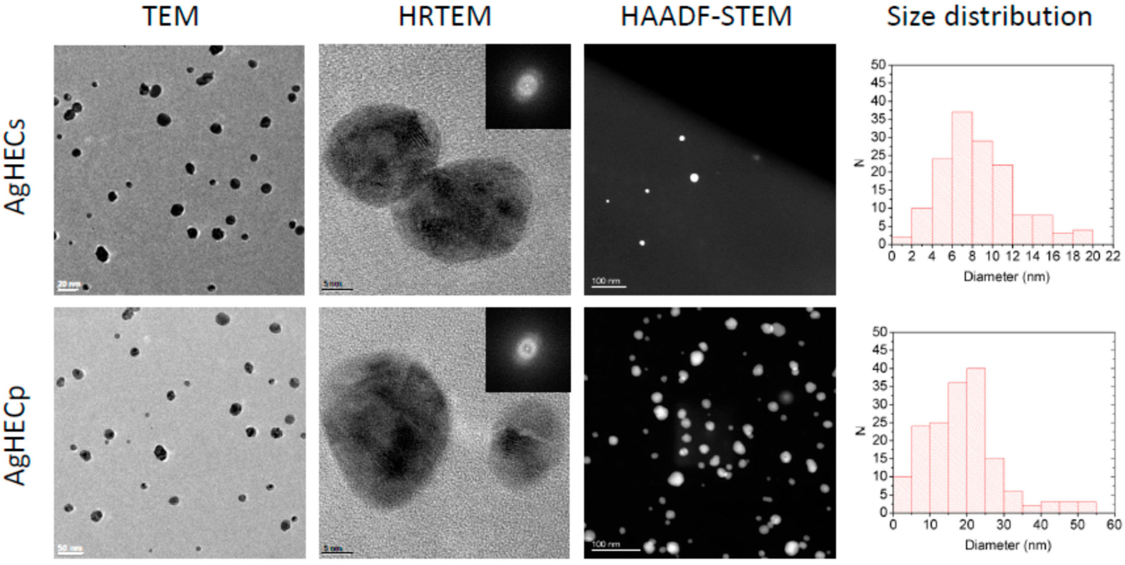 Toxics 11 00195 g001