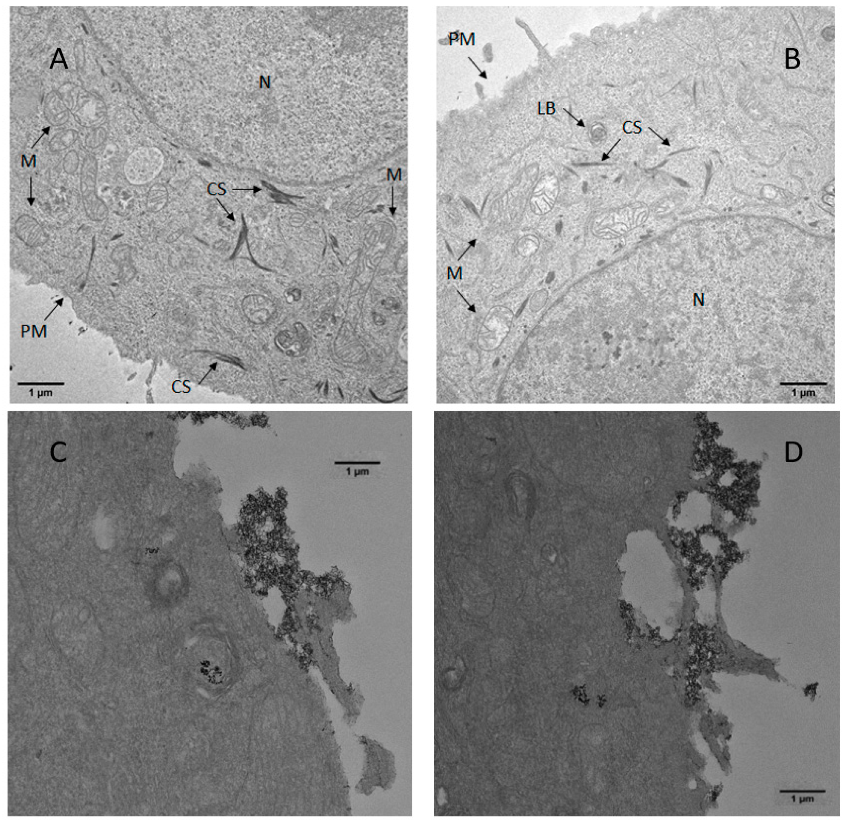 Toxics 11 00195 g0a6