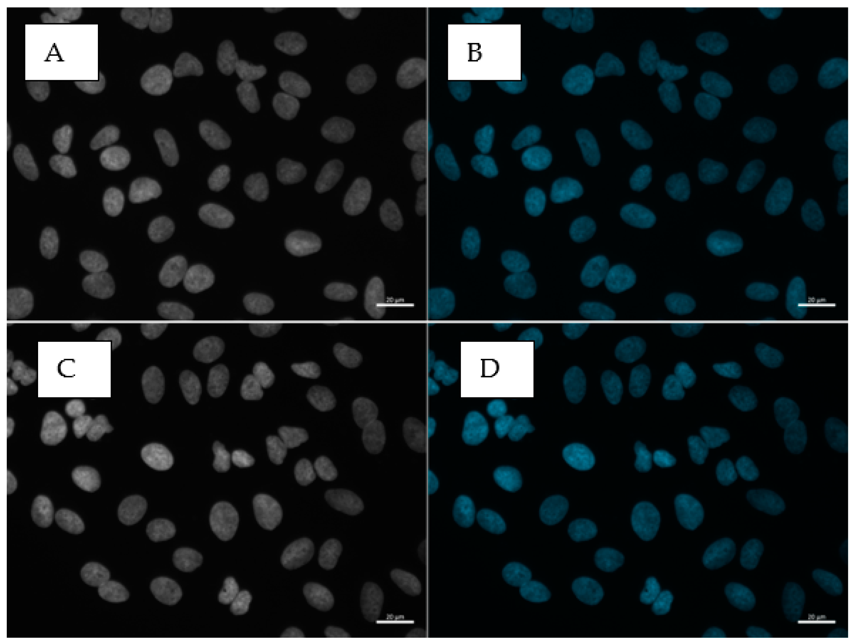 Toxics 11 00195 g0a7