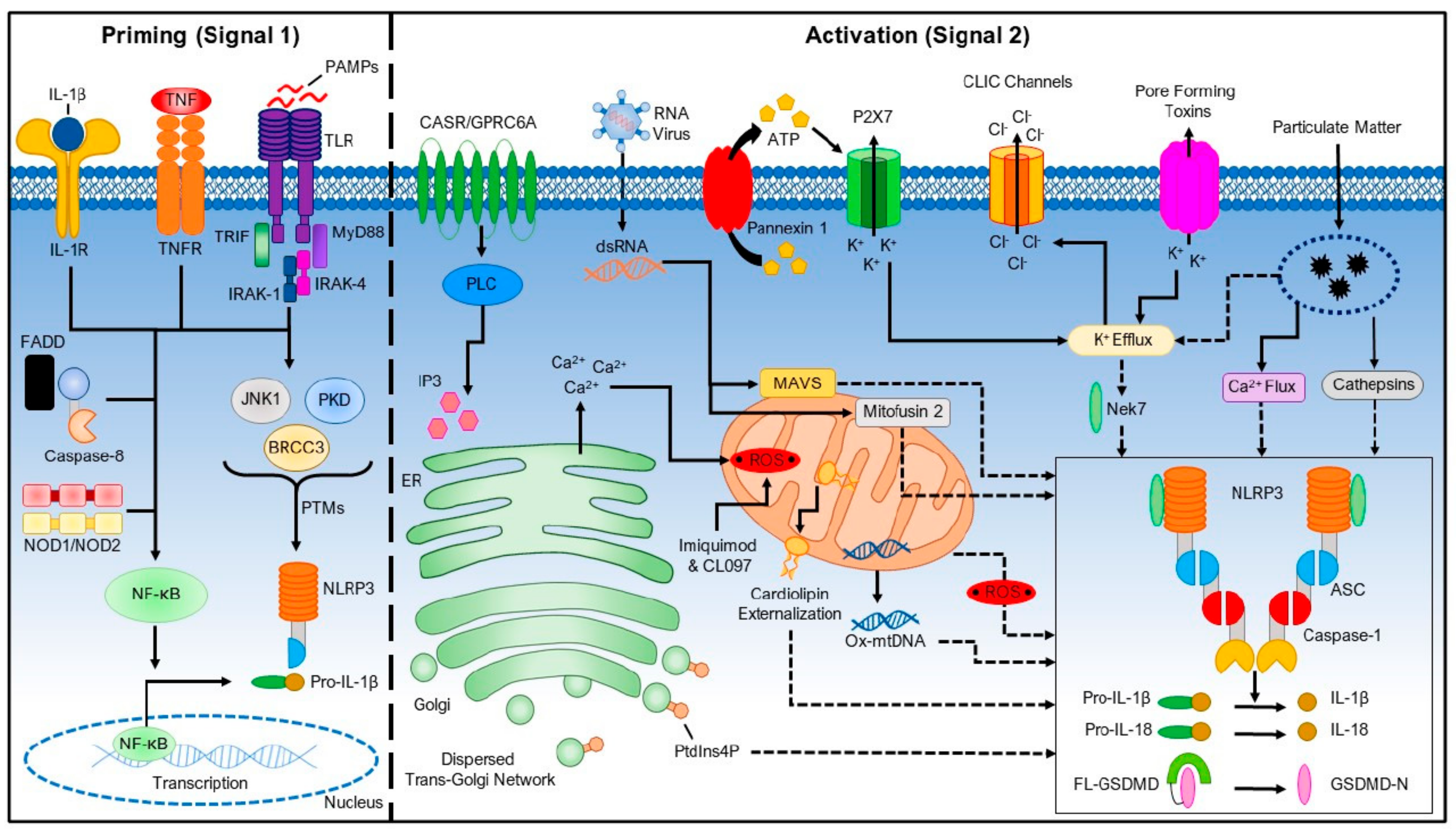 Toxics 11 00202 g001 Toxics 11 00202 g001