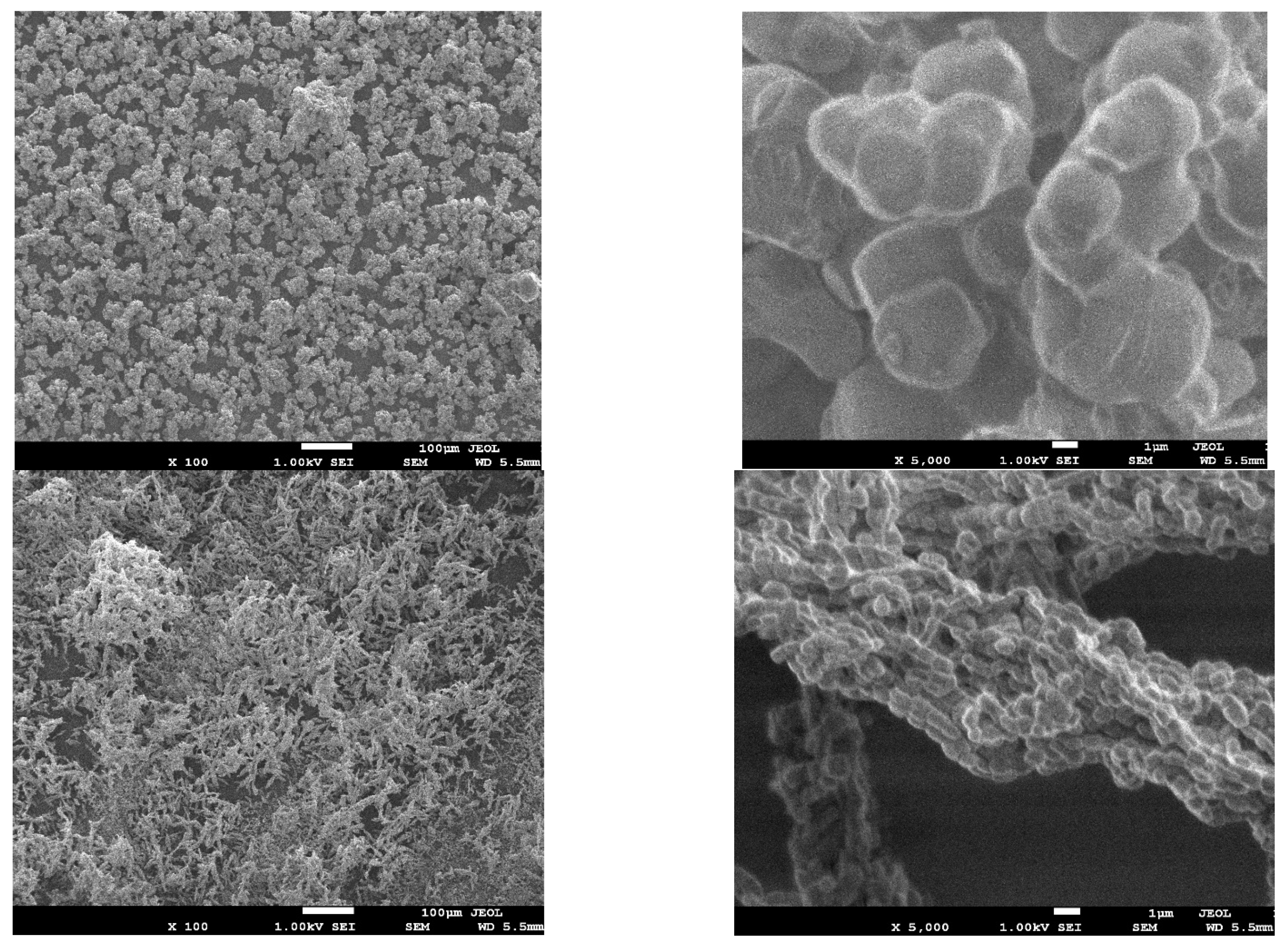 Toxics 11 00205 g002 Toxics 11 00205 g002