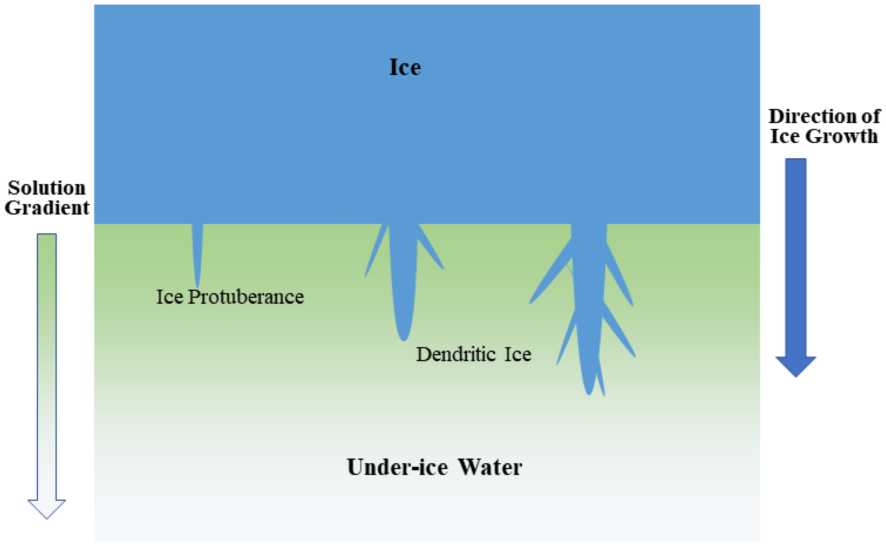 Toxics 11 00222 g006
