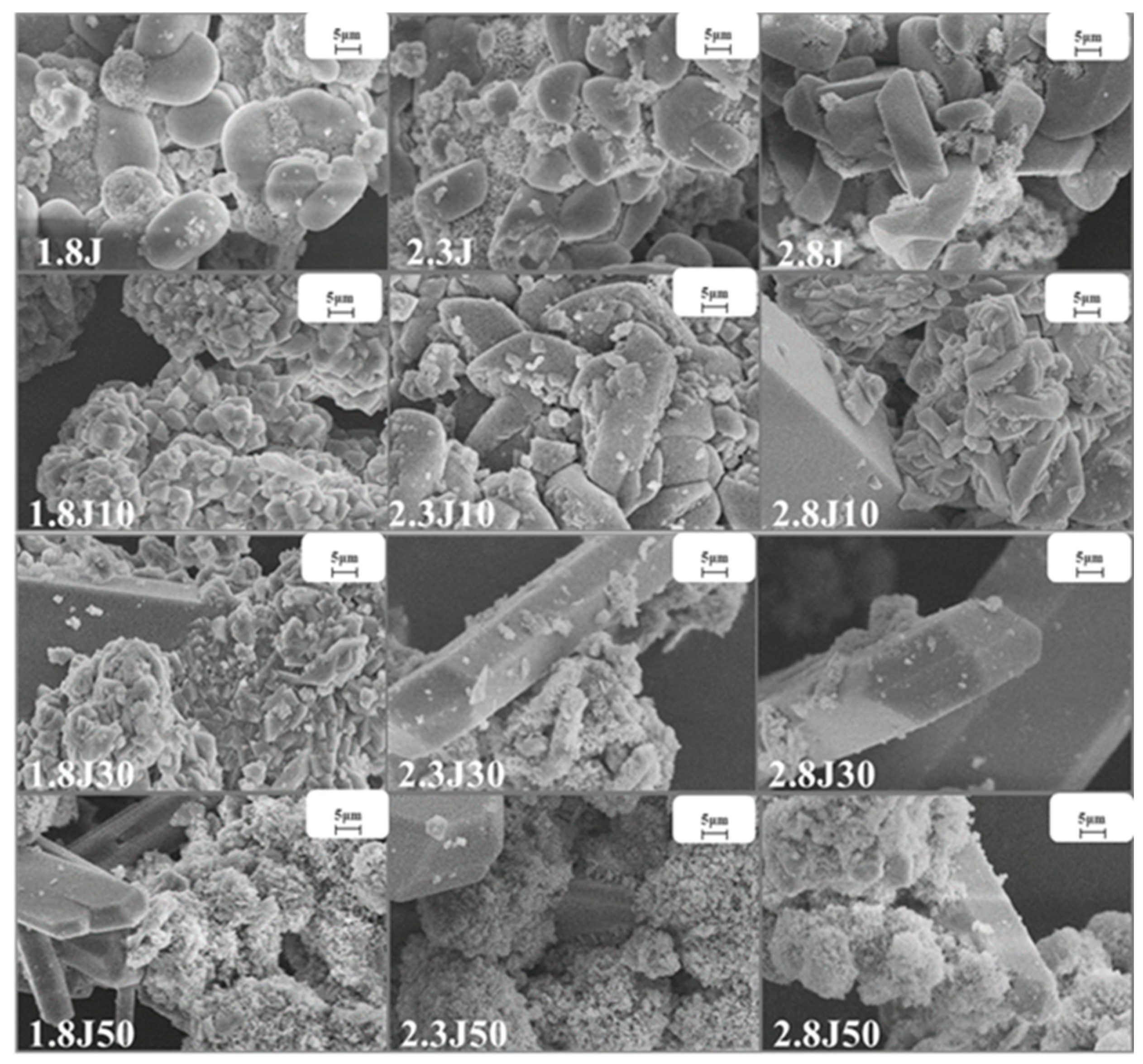 Toxics 11 00224 g007
