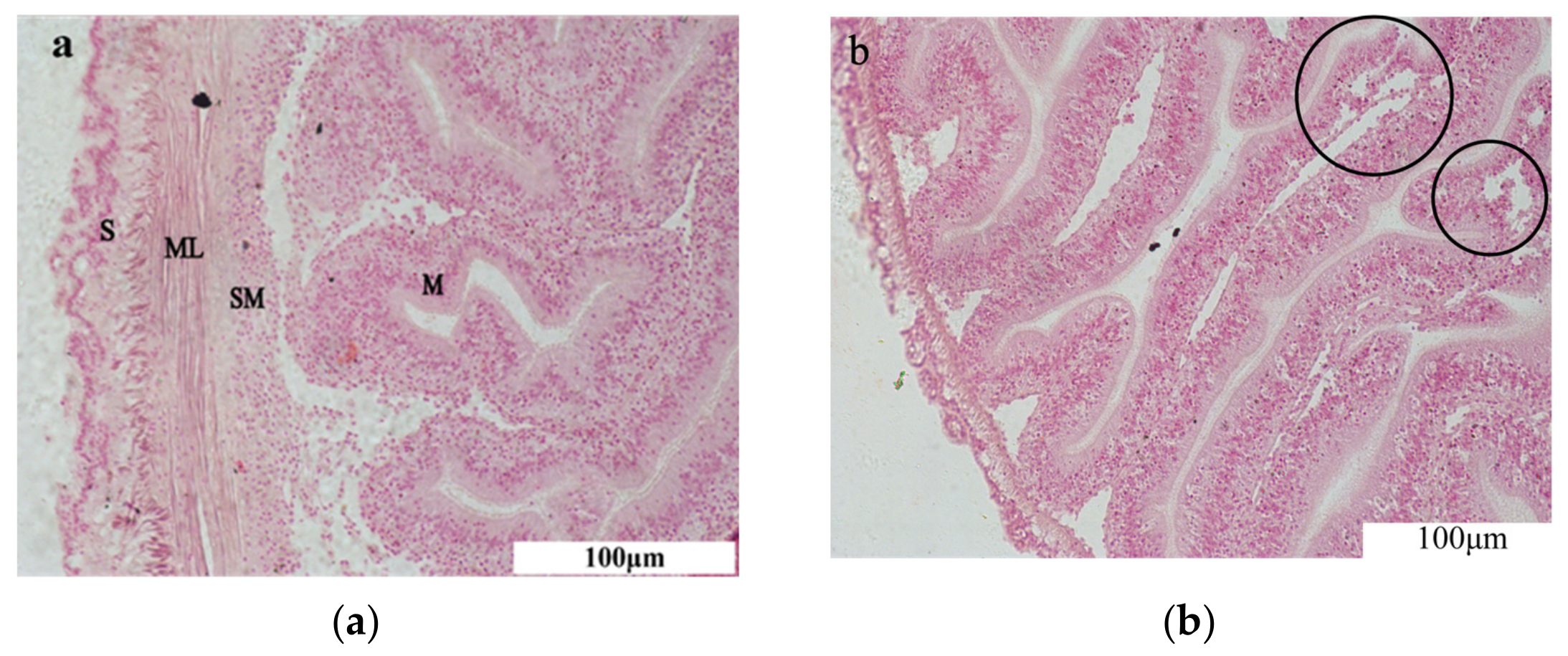 Toxics 11 00226 g001