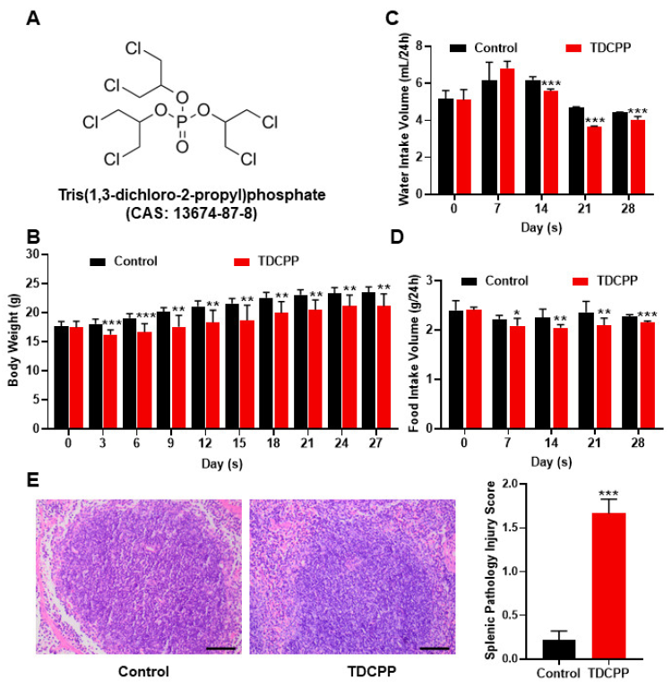 Toxics 11 00231 g001