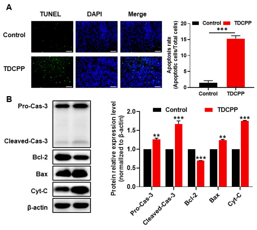 Toxics 11 00231 g003