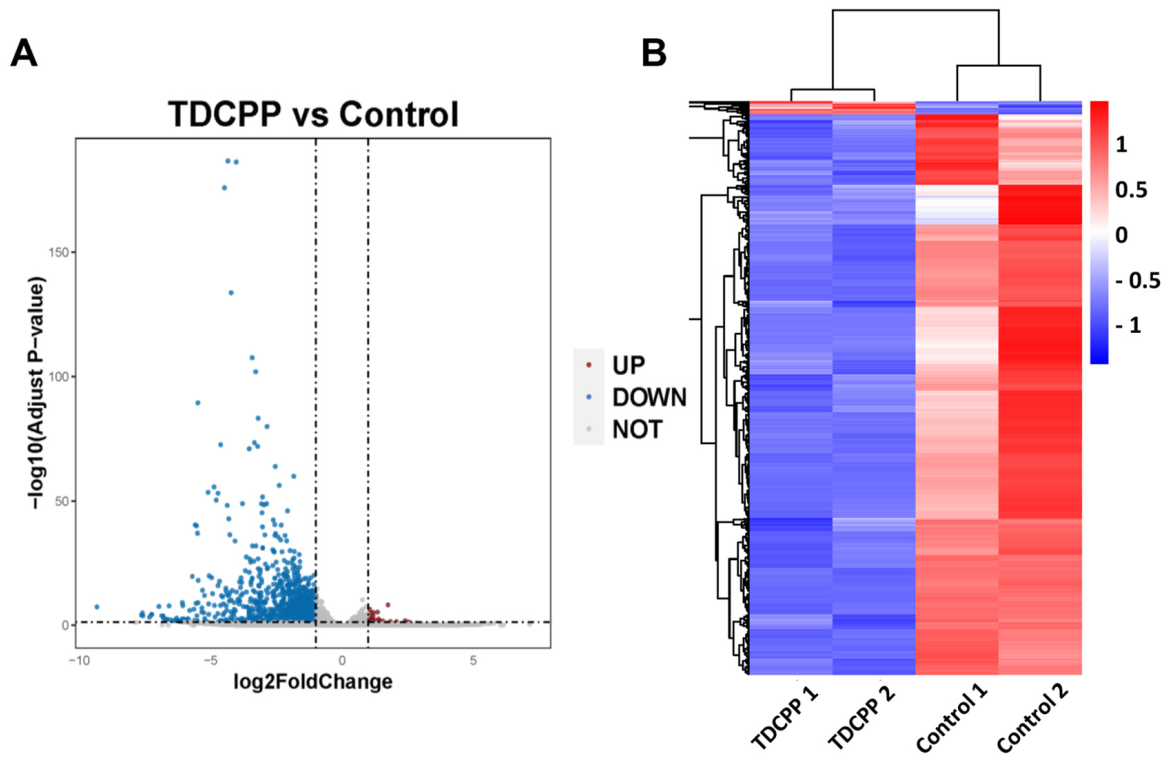 Toxics 11 00231 g004