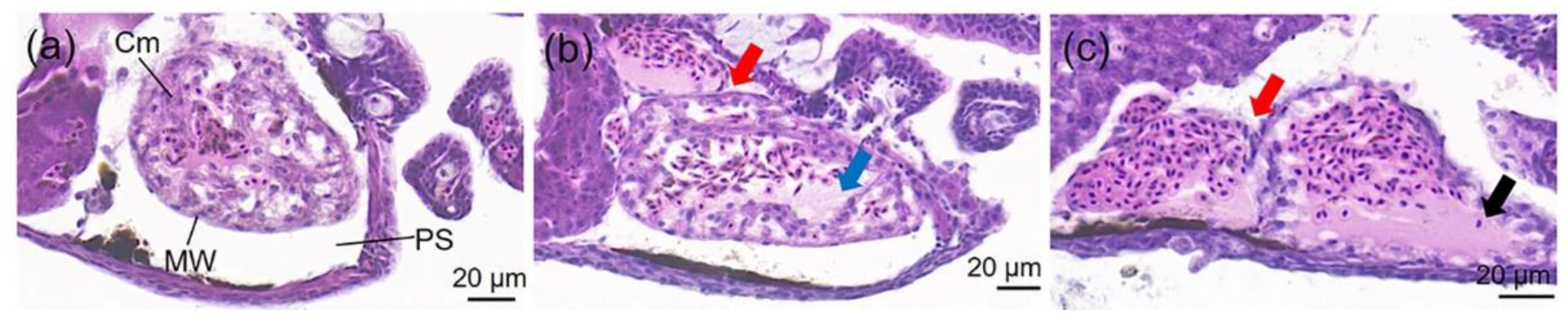 Toxics 11 00236 g003 Toxics 11 00236 g003