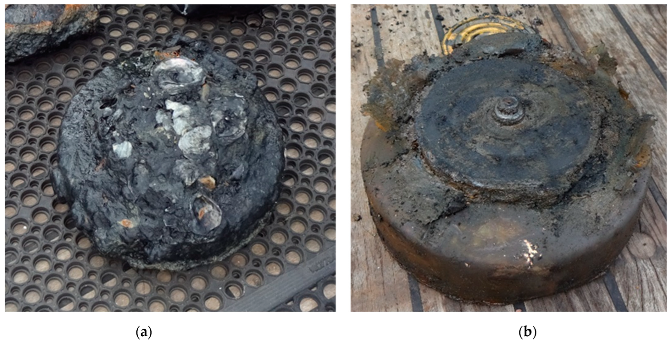 Toxics 11 00238 g004