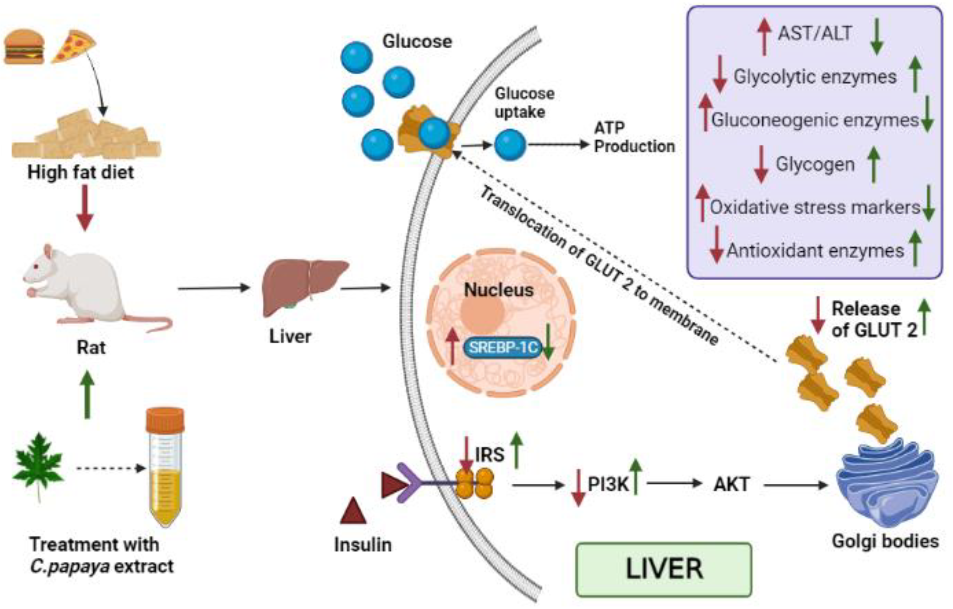 Toxics 11 00240 g016
