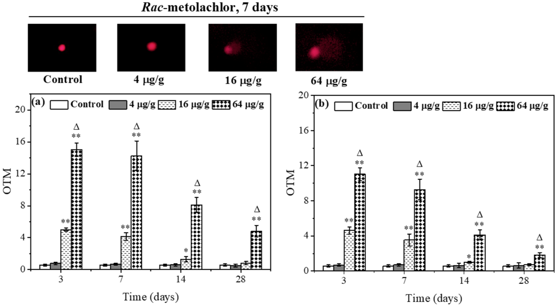 Toxics 11 00246 g004