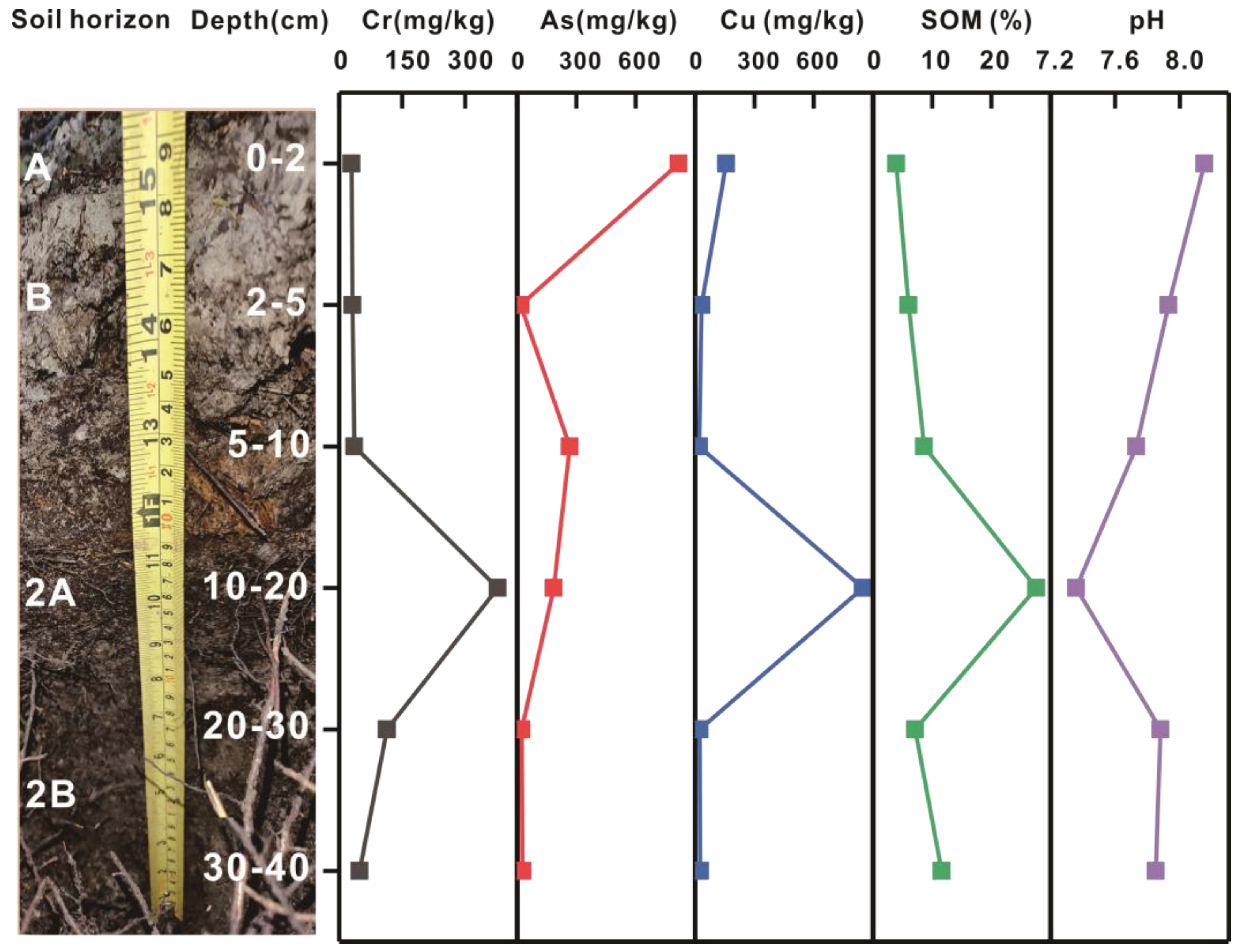 Toxics 11 00249 g010
