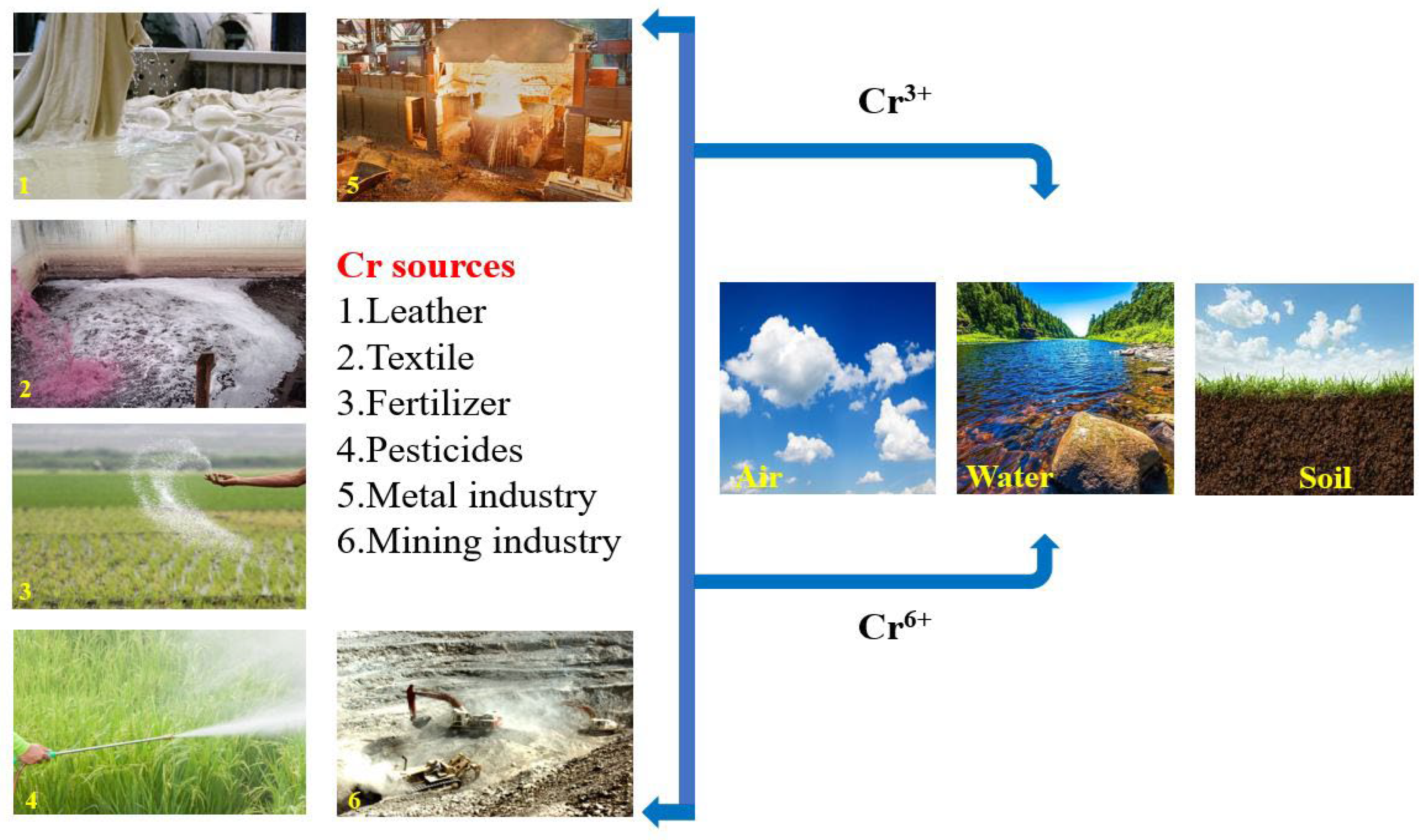 Toxics 11 00252 g003