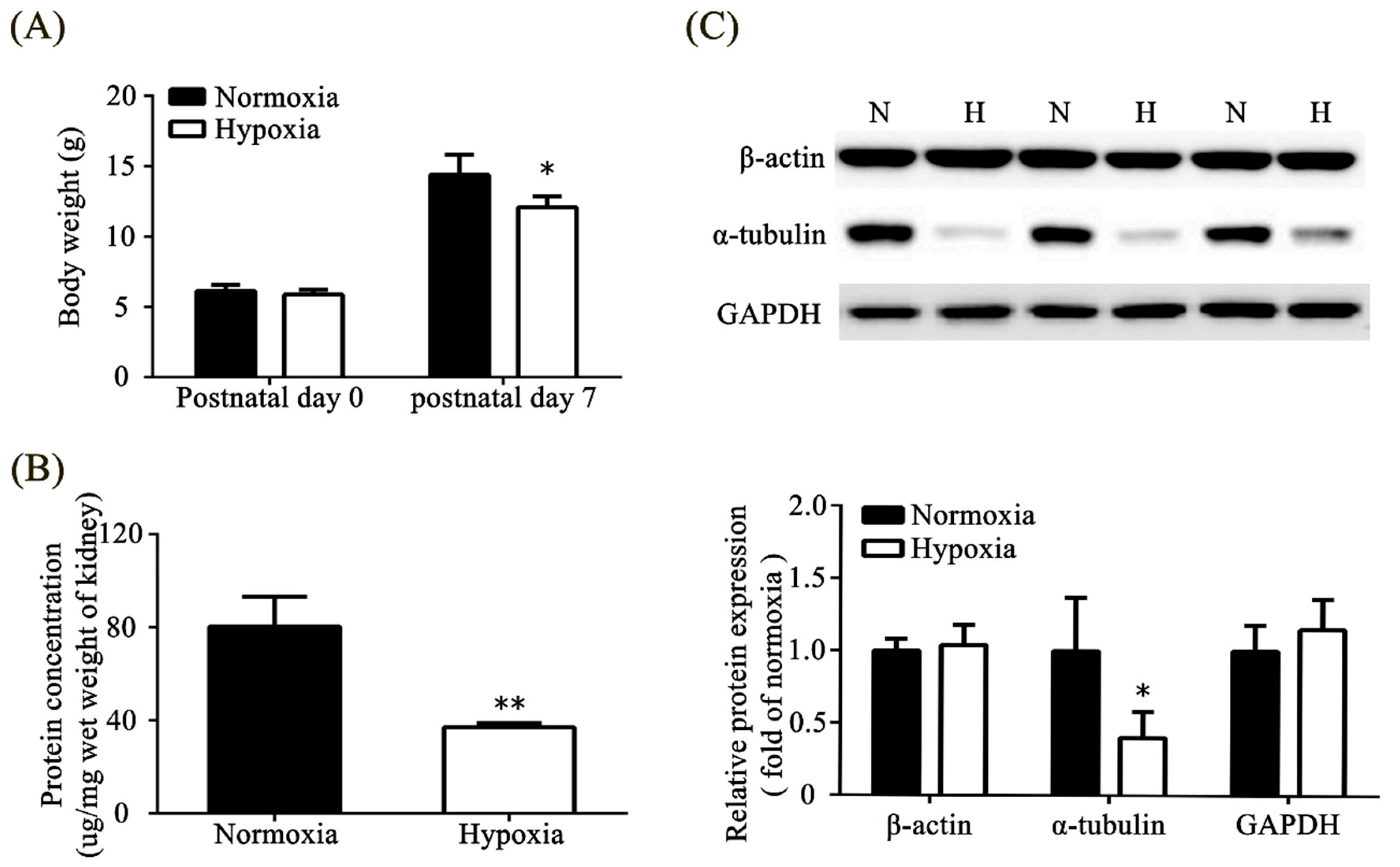 Toxics 11 00260 g003