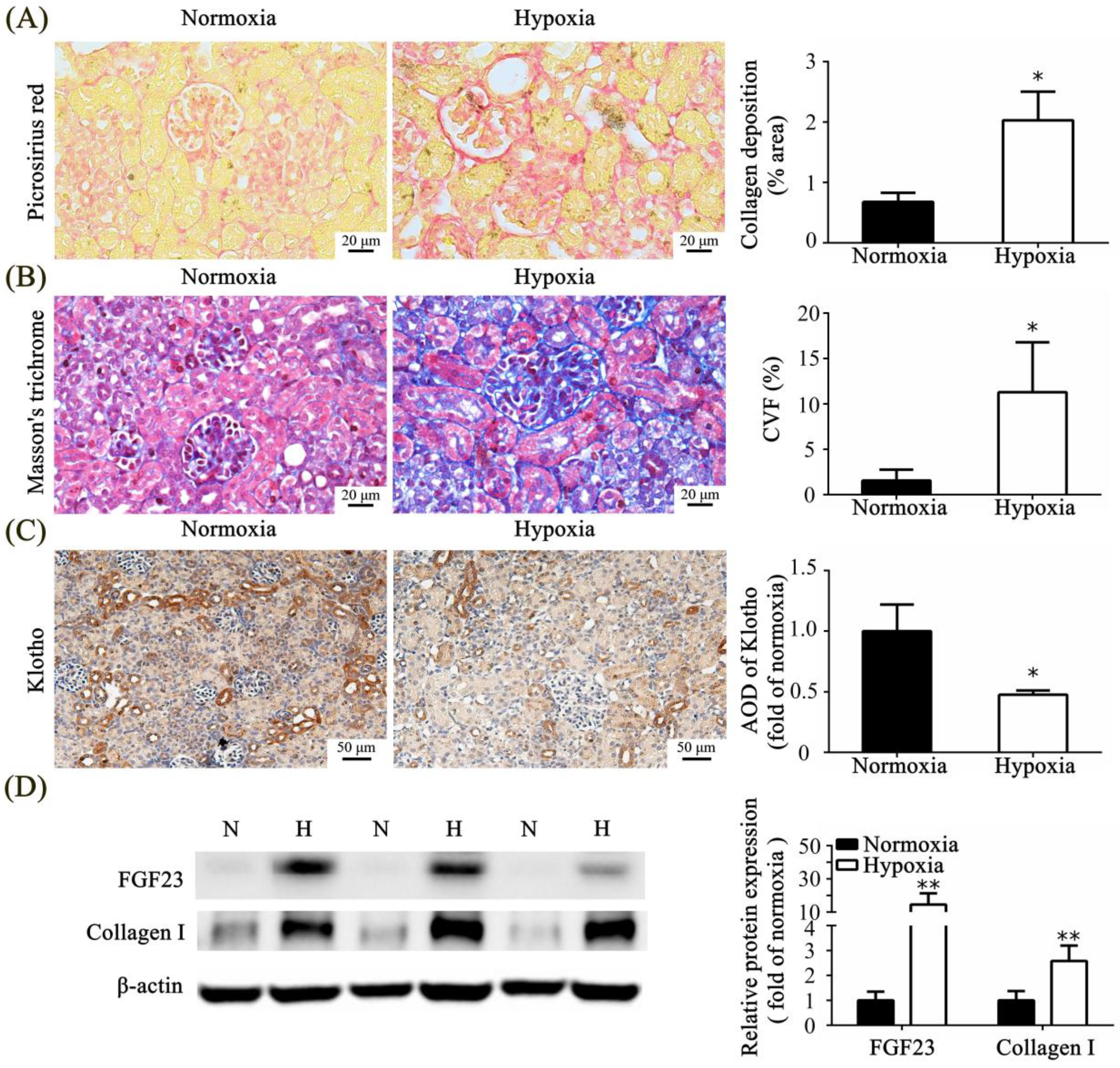 Toxics 11 00260 g004