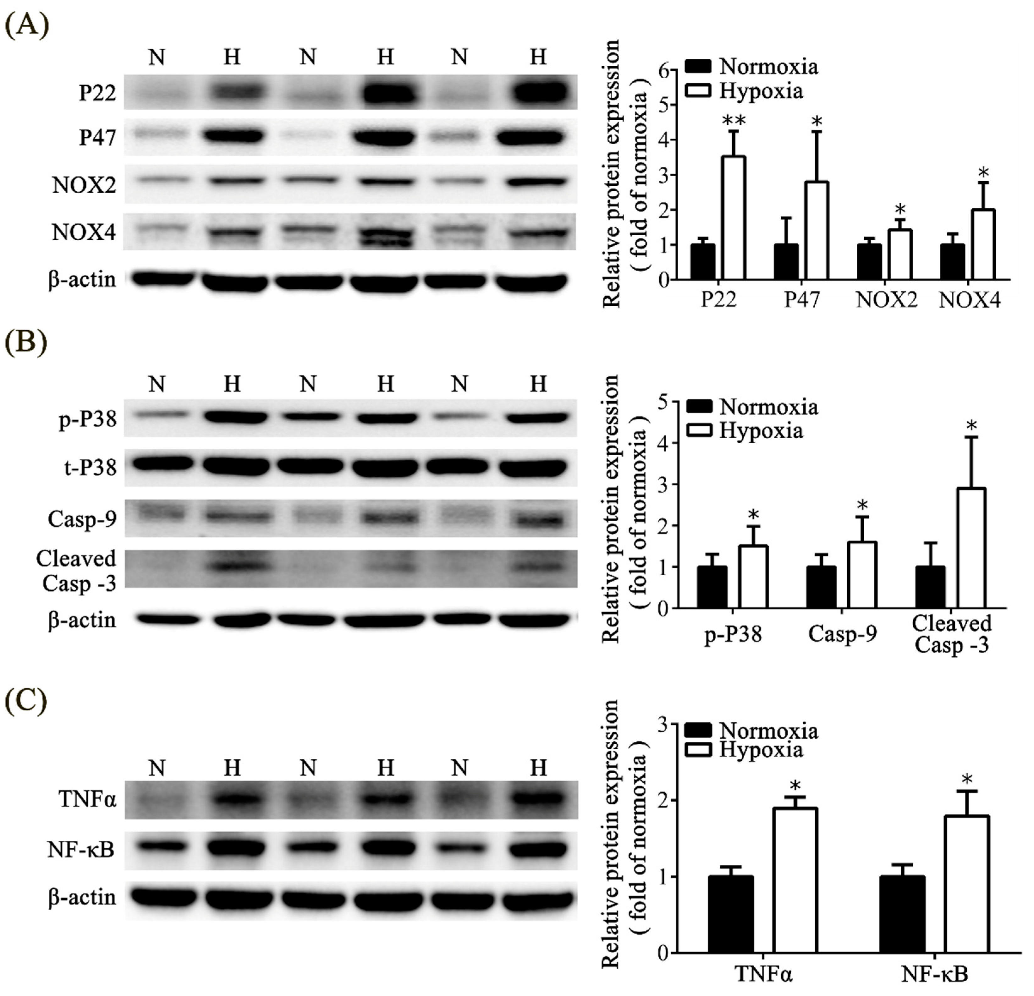 Toxics 11 00260 g005