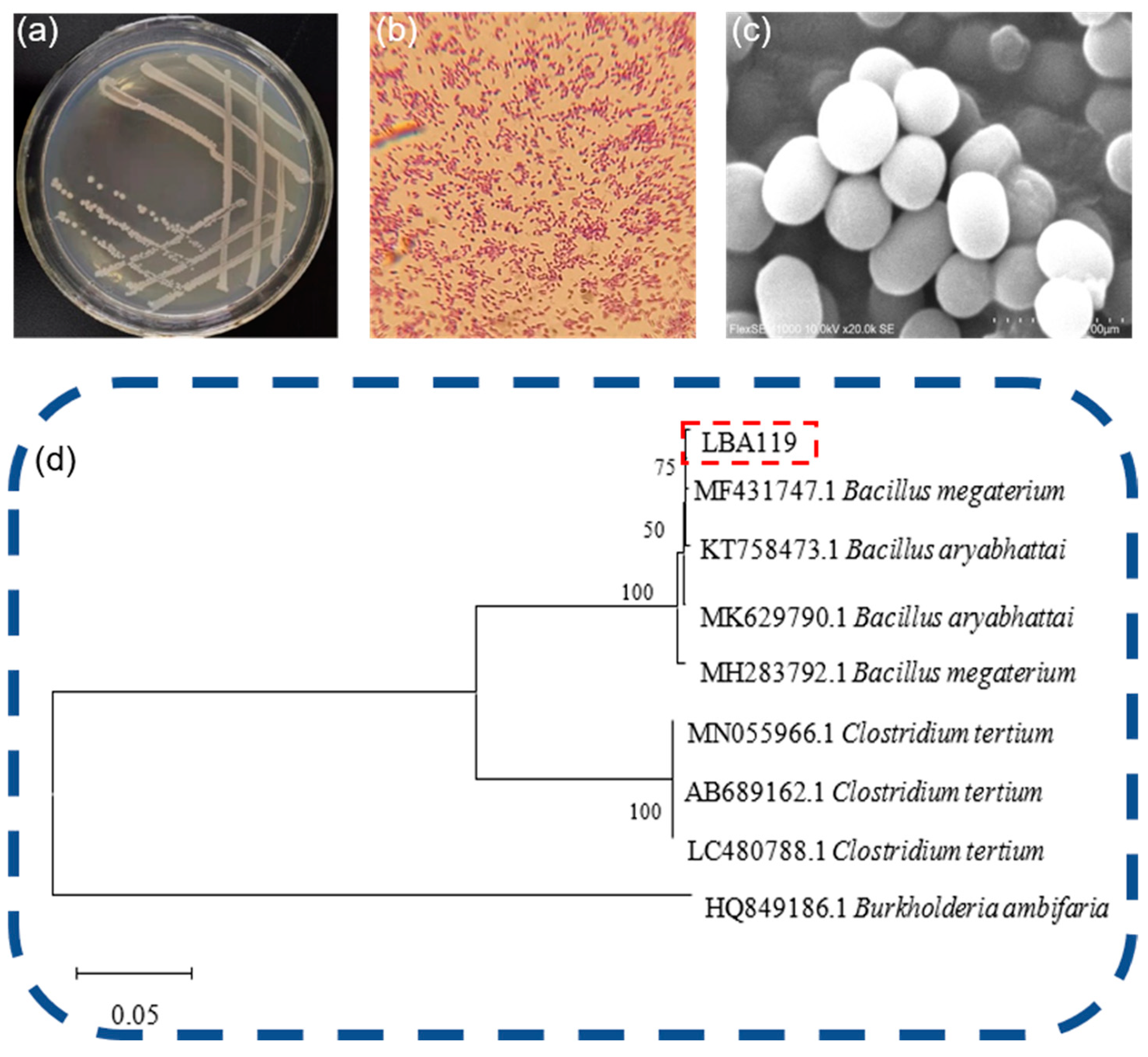 Toxics 11 00261 g001