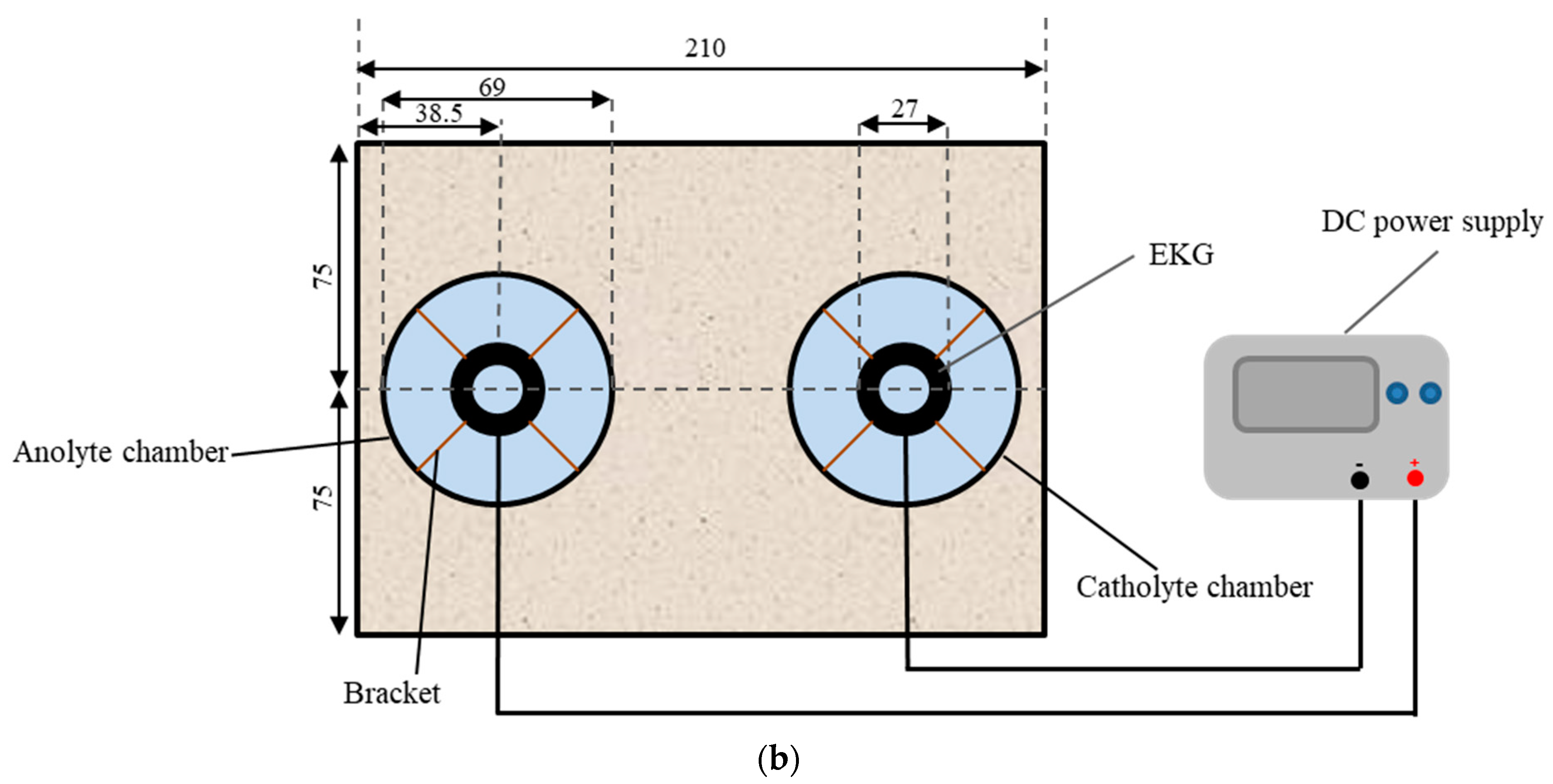 Toxics 11 00263 g001b 550