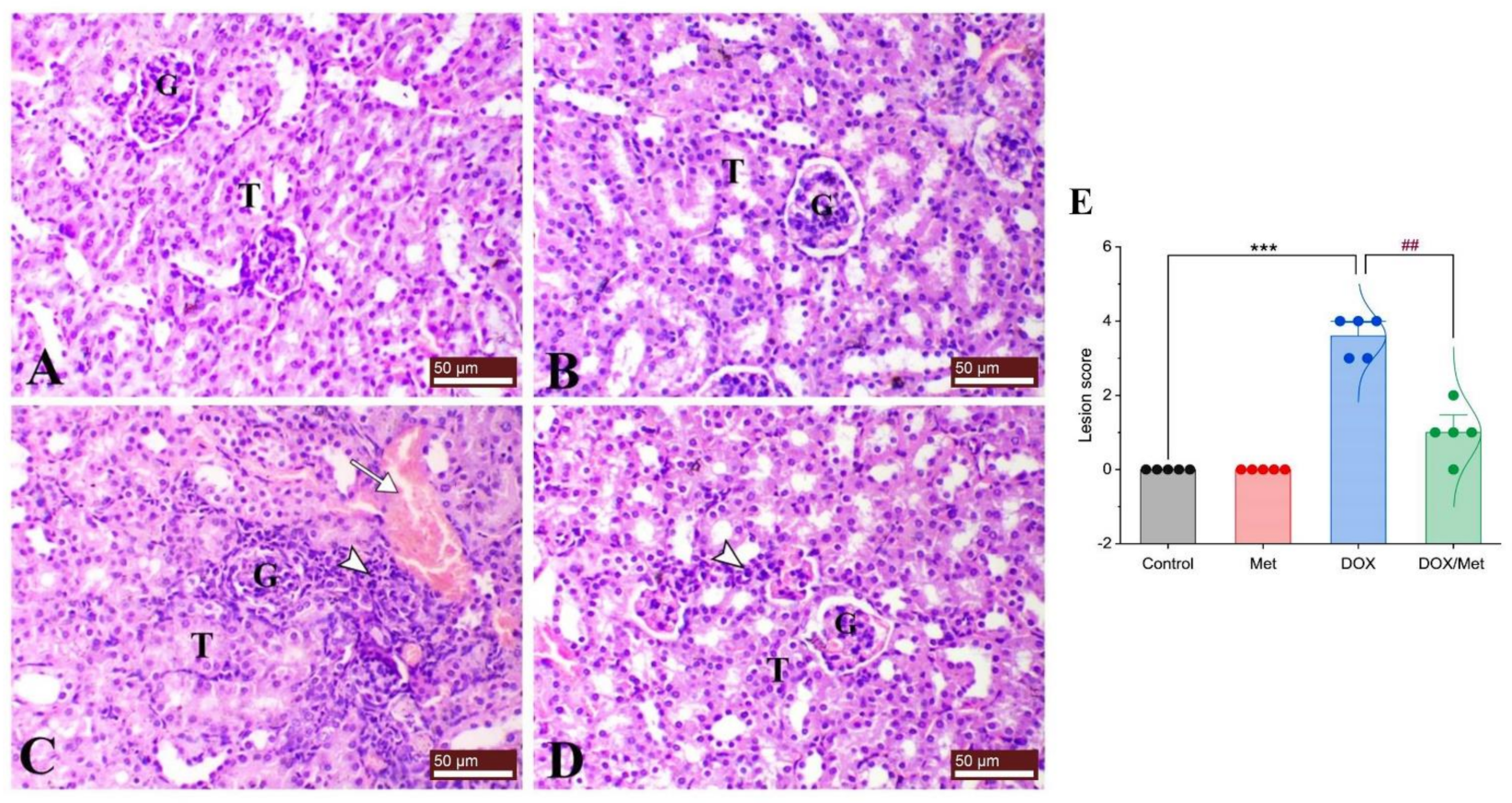Toxics 11 00273 g003