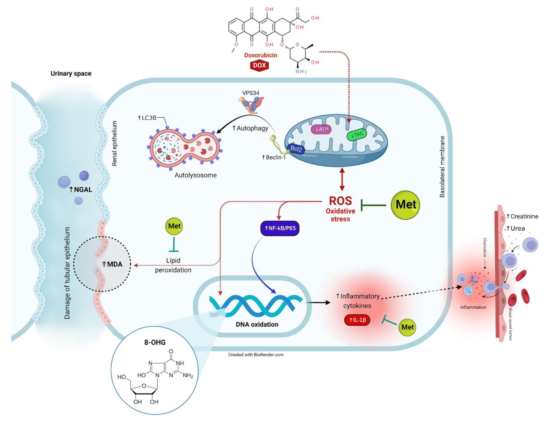 Toxics 11 00273 g009