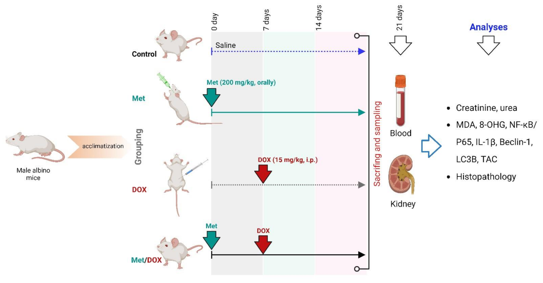 Toxics 11 00273 g010