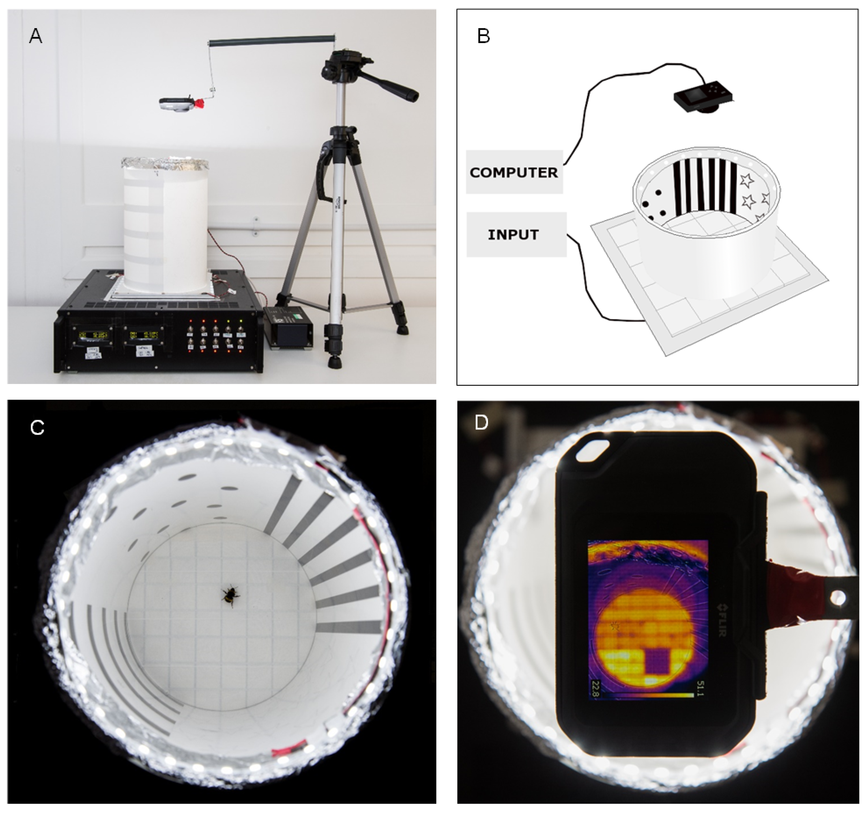 Toxics 11 00279 g001