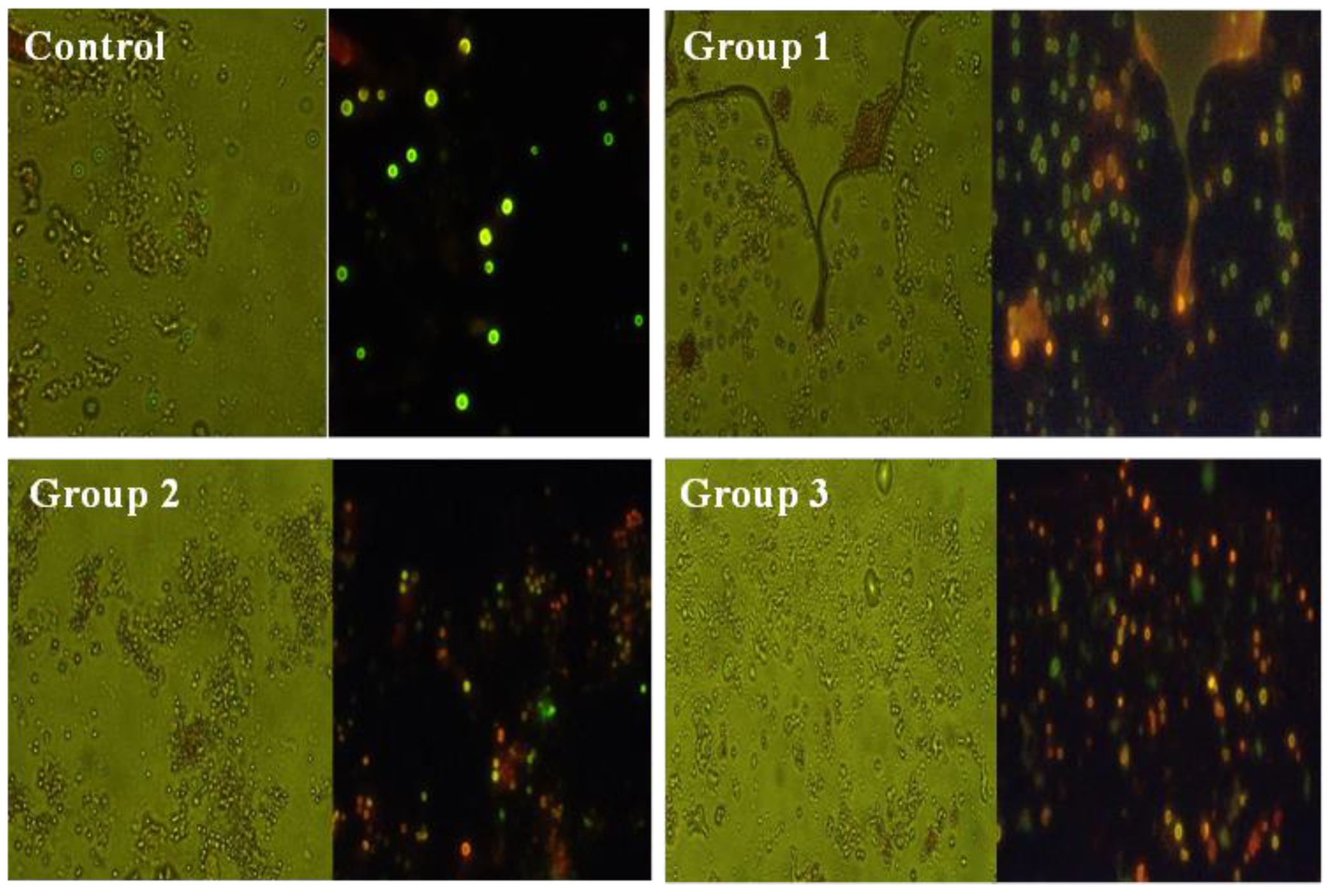 Toxics 11 00282 g006